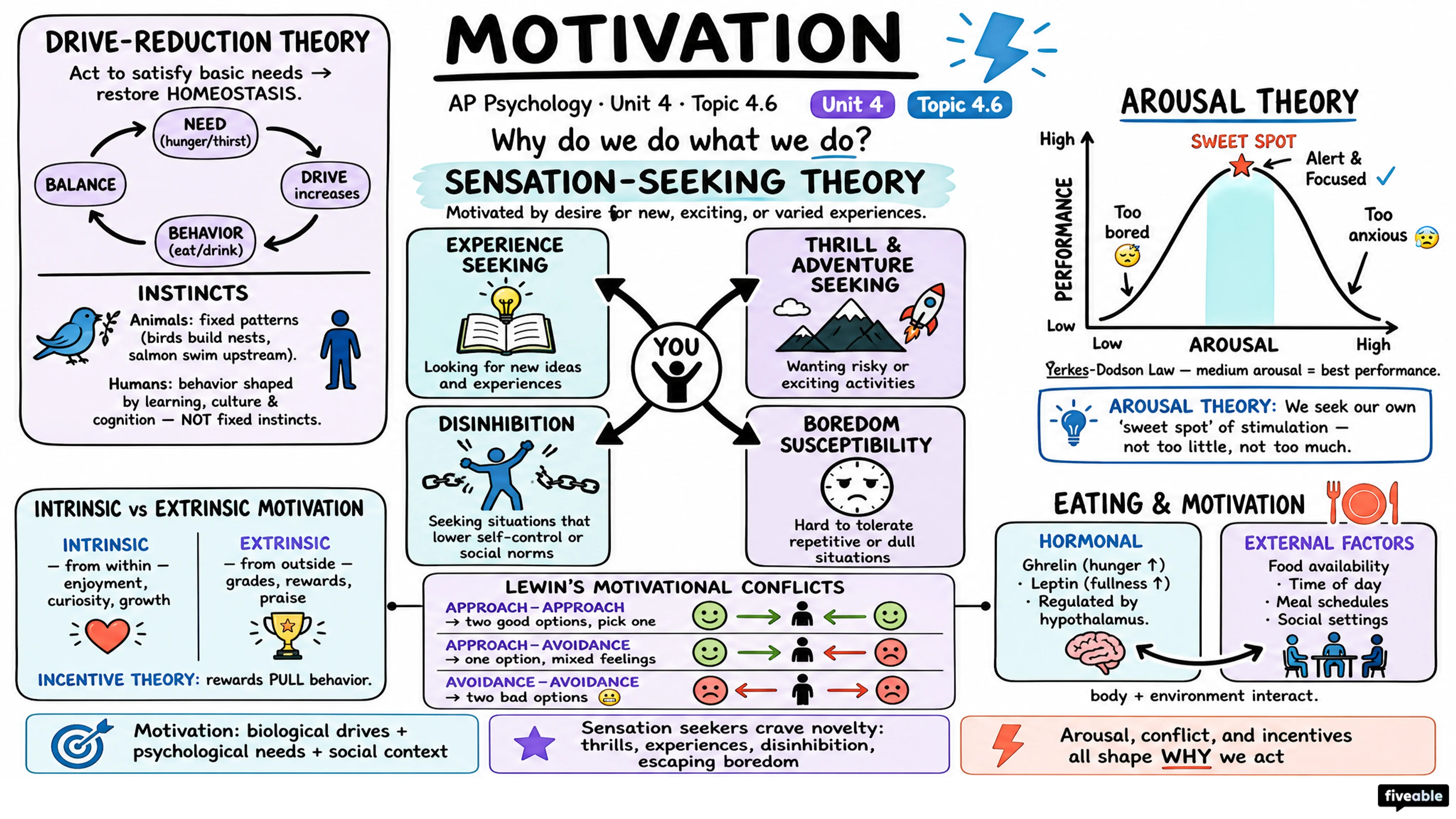 4.6 Motivation - AP Psychology - Unit 4 visual cheatsheet