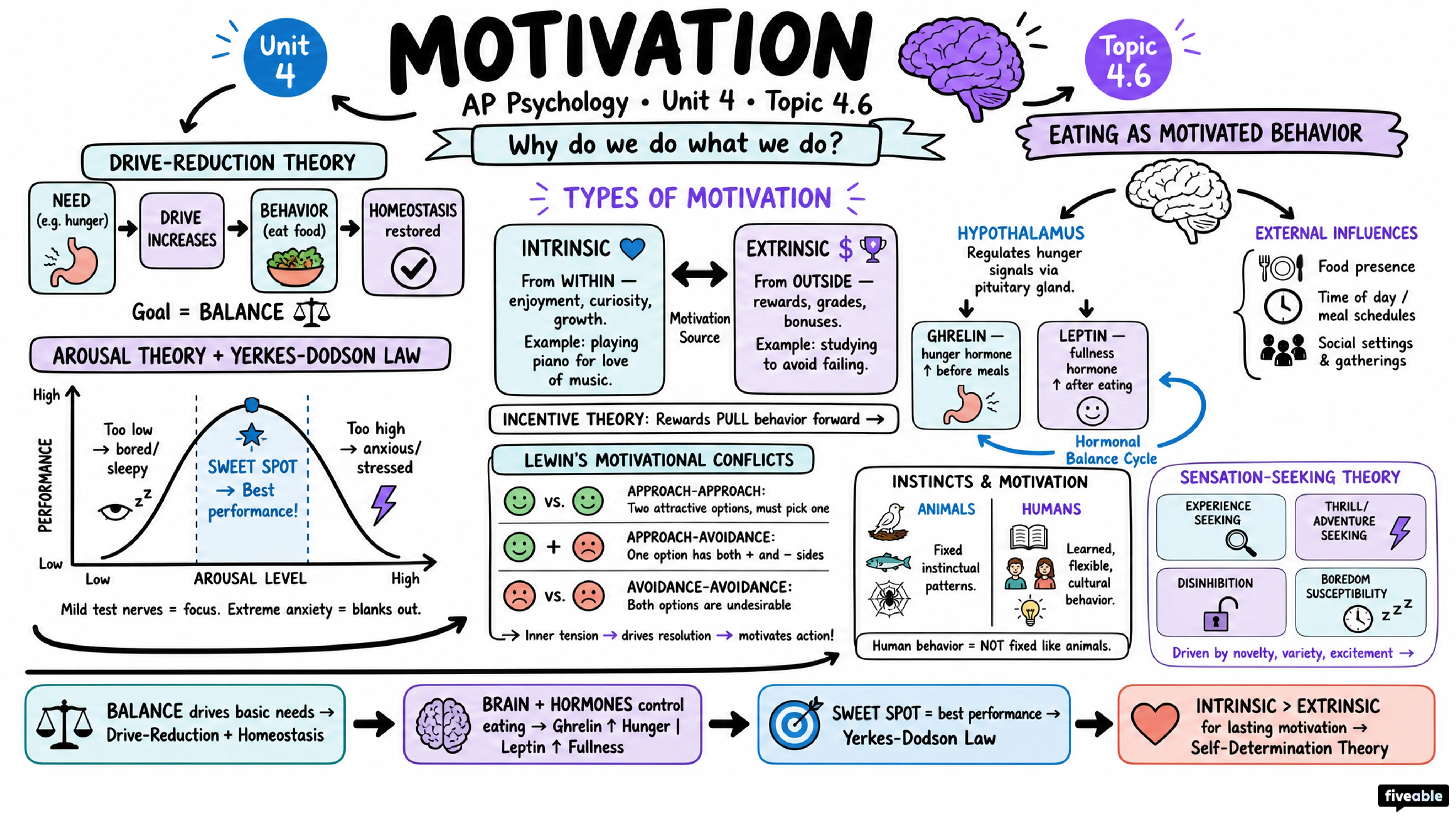 4.6 Motivation - AP Psychology - Unit 4 visual cheatsheet