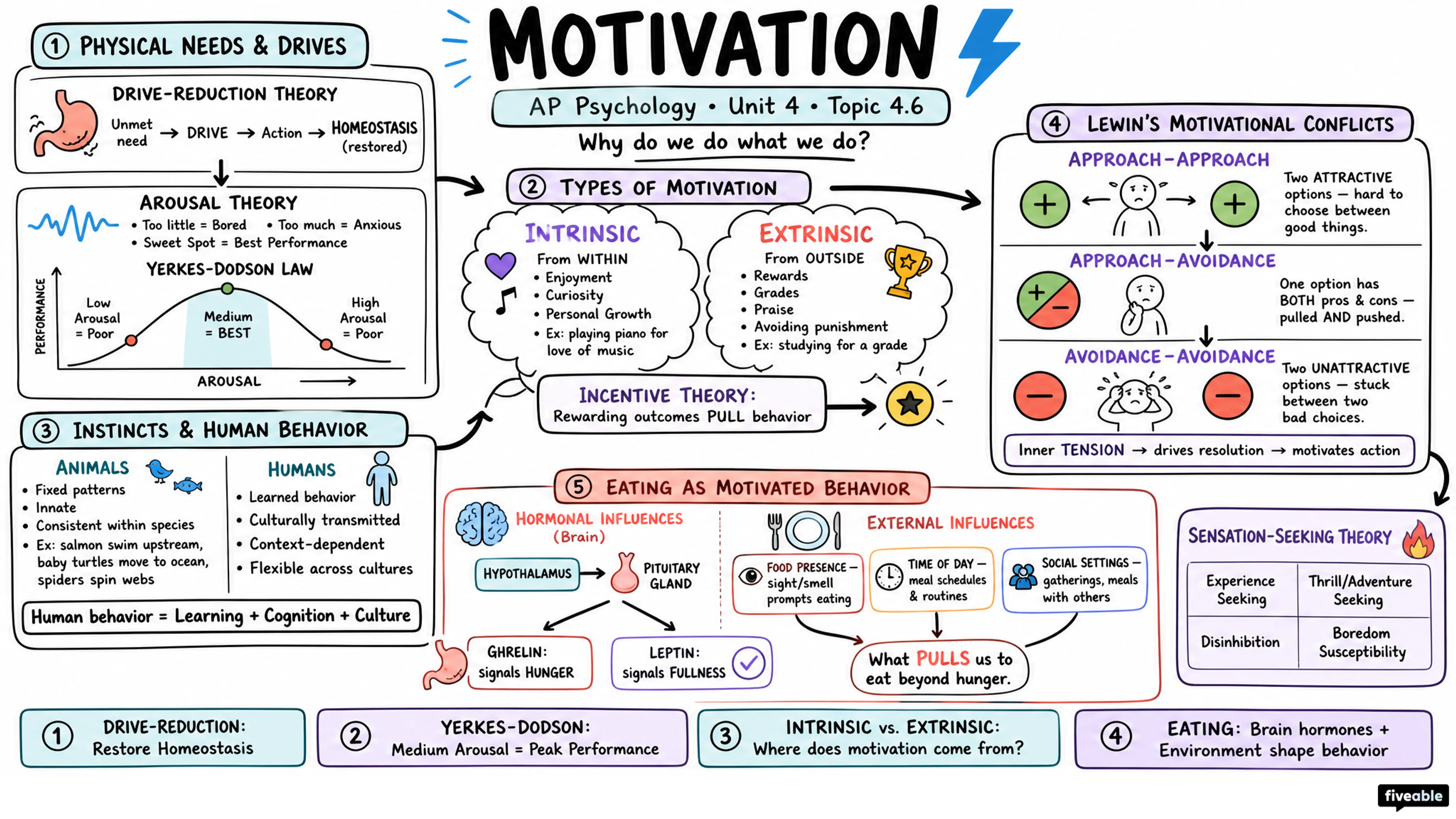 4.6 Motivation - AP Psychology - Unit 4 visual cheatsheet