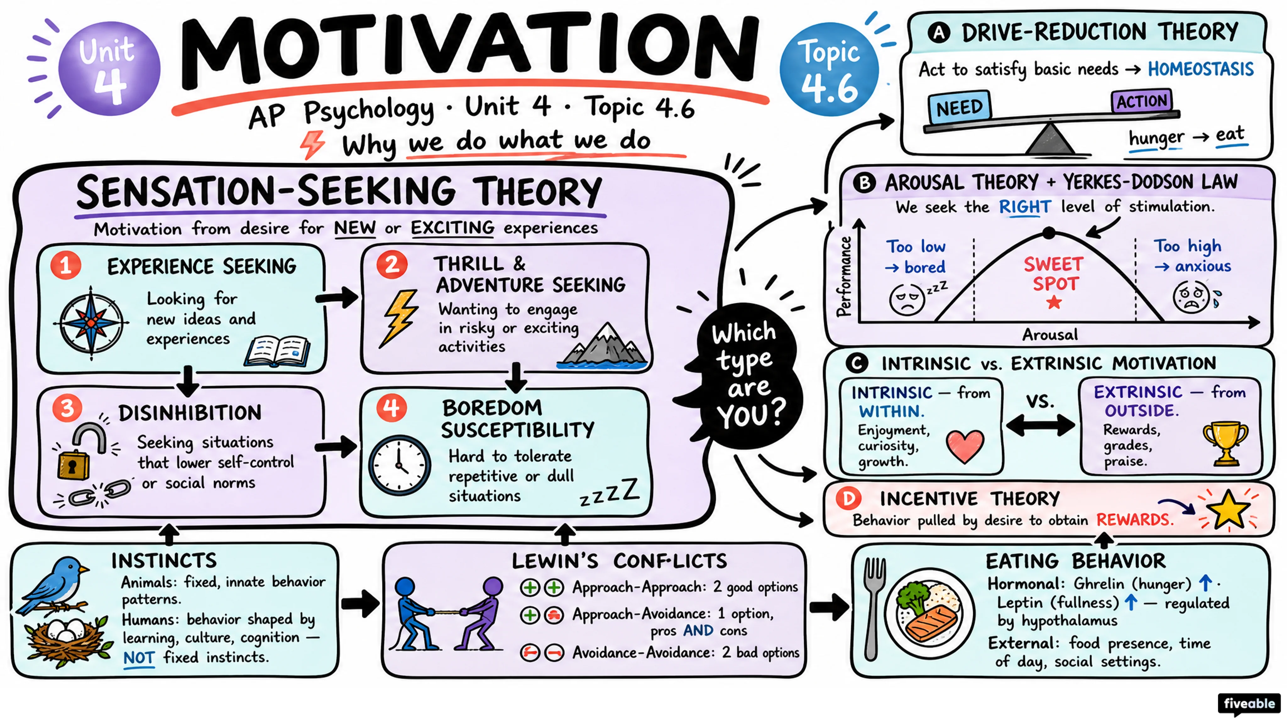 4.6 Motivation - AP Psychology - Unit 4 visual cheatsheet