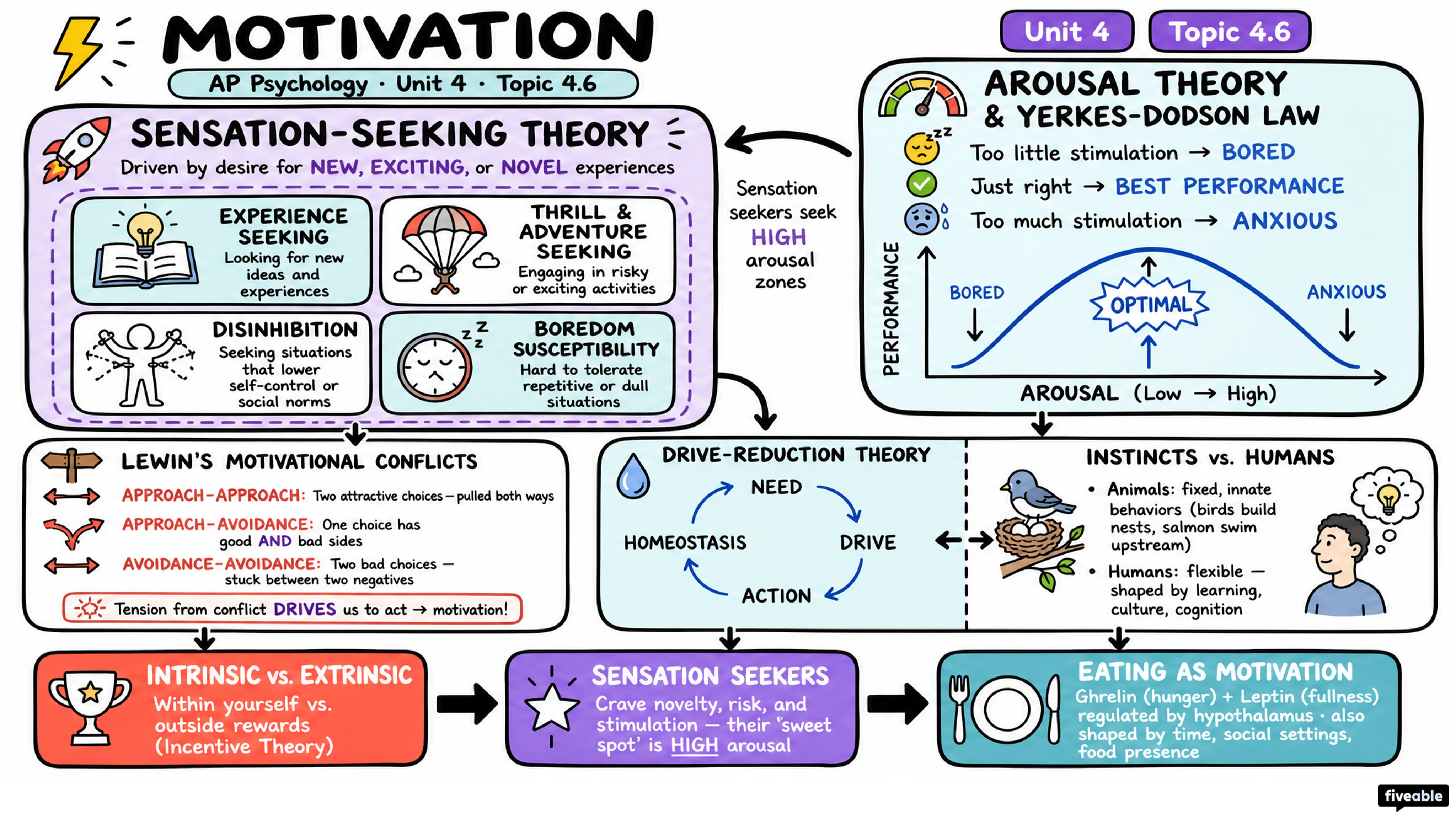 4.6 Motivation - AP Psychology - Unit 4 visual cheatsheet