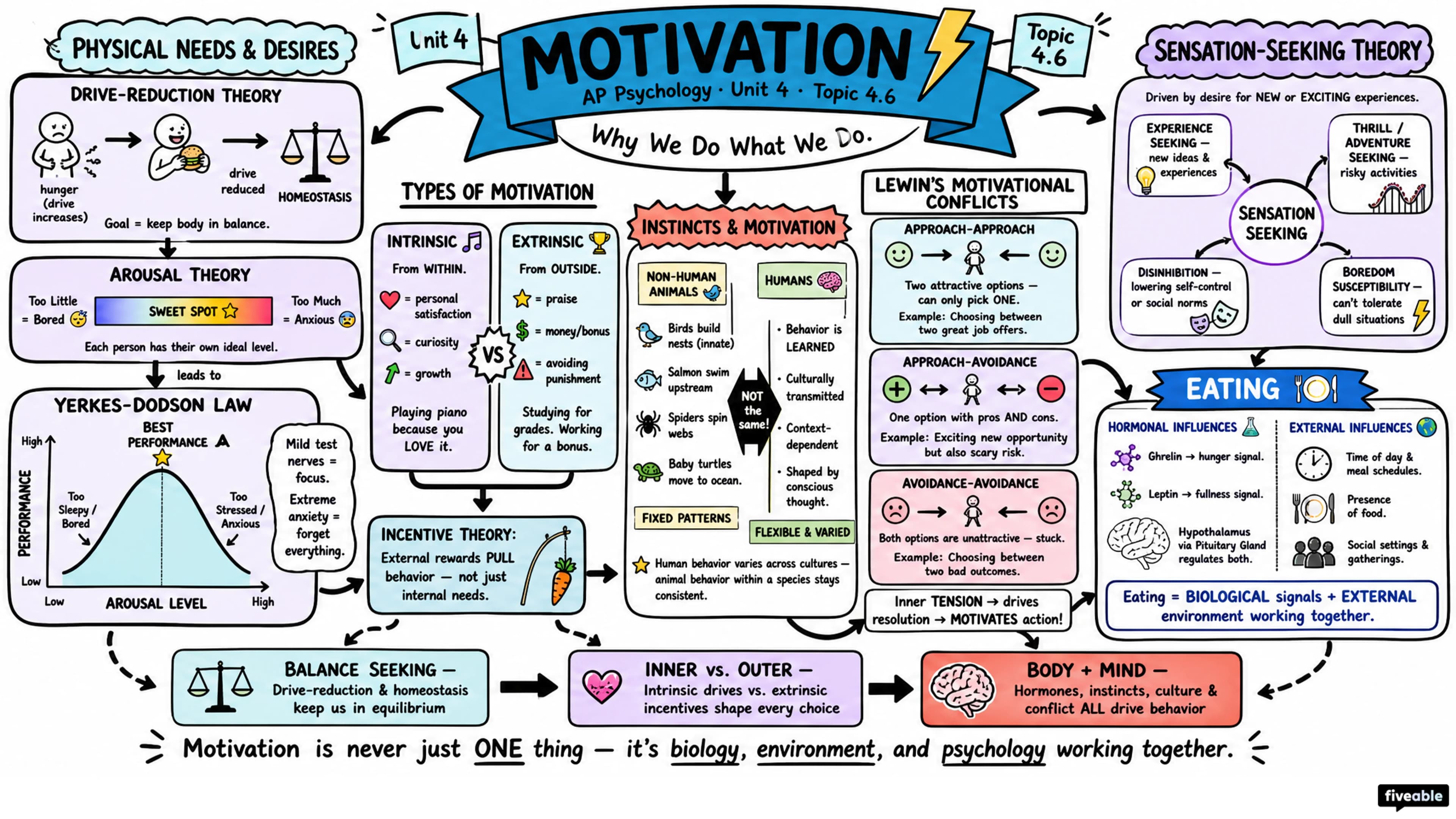 4.6 Motivation - AP Psychology - Unit 4 visual cheatsheet