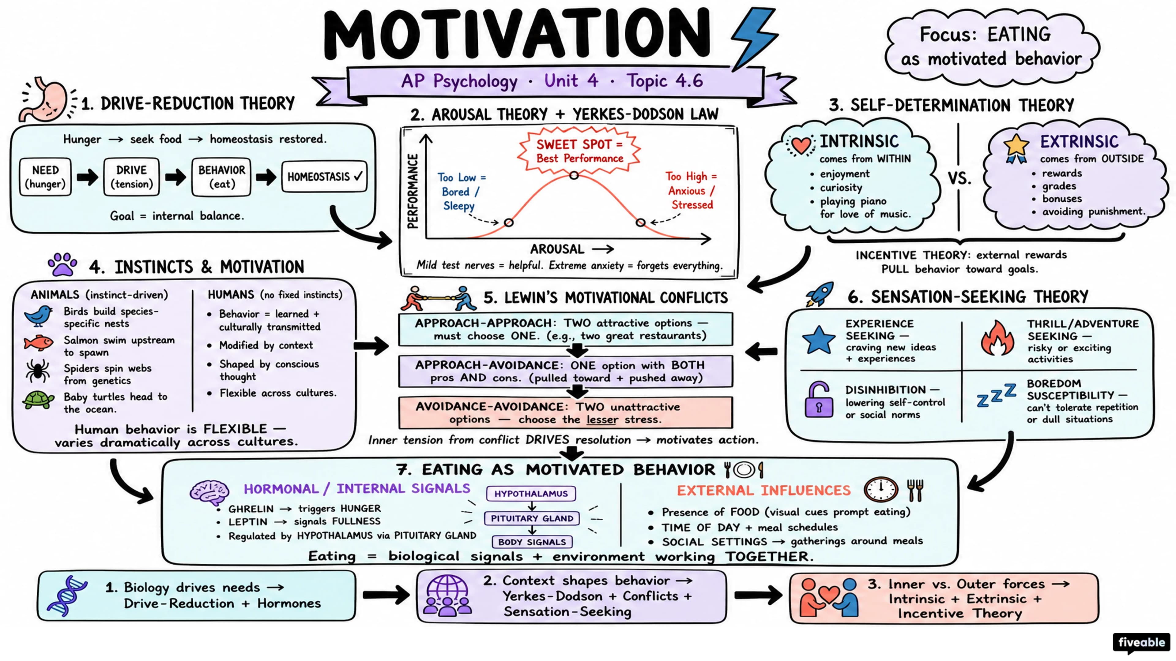4.6 Motivation - AP Psychology - Unit 4 visual cheatsheet