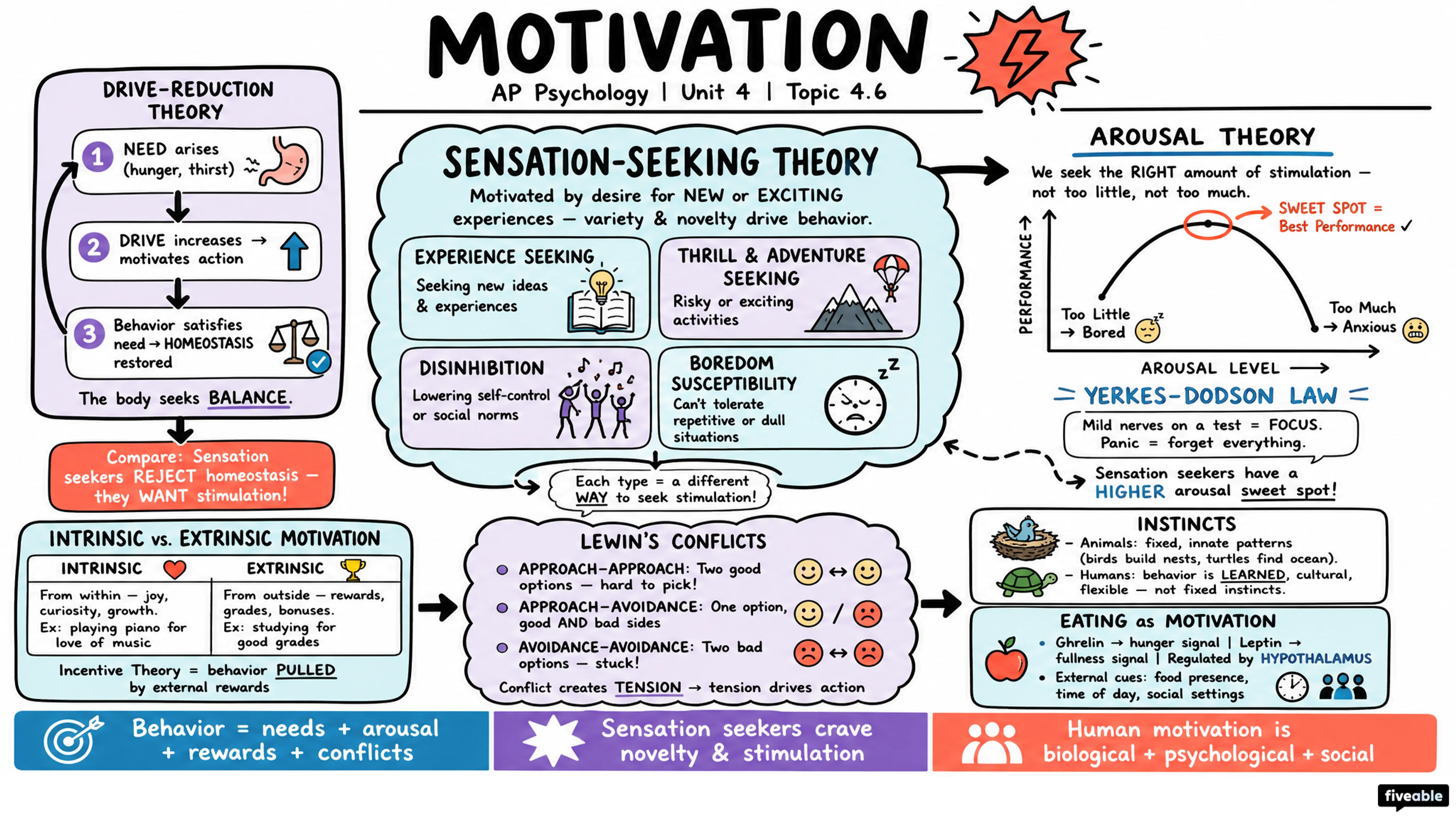 4.6 Motivation - AP Psychology - Unit 4 visual cheatsheet