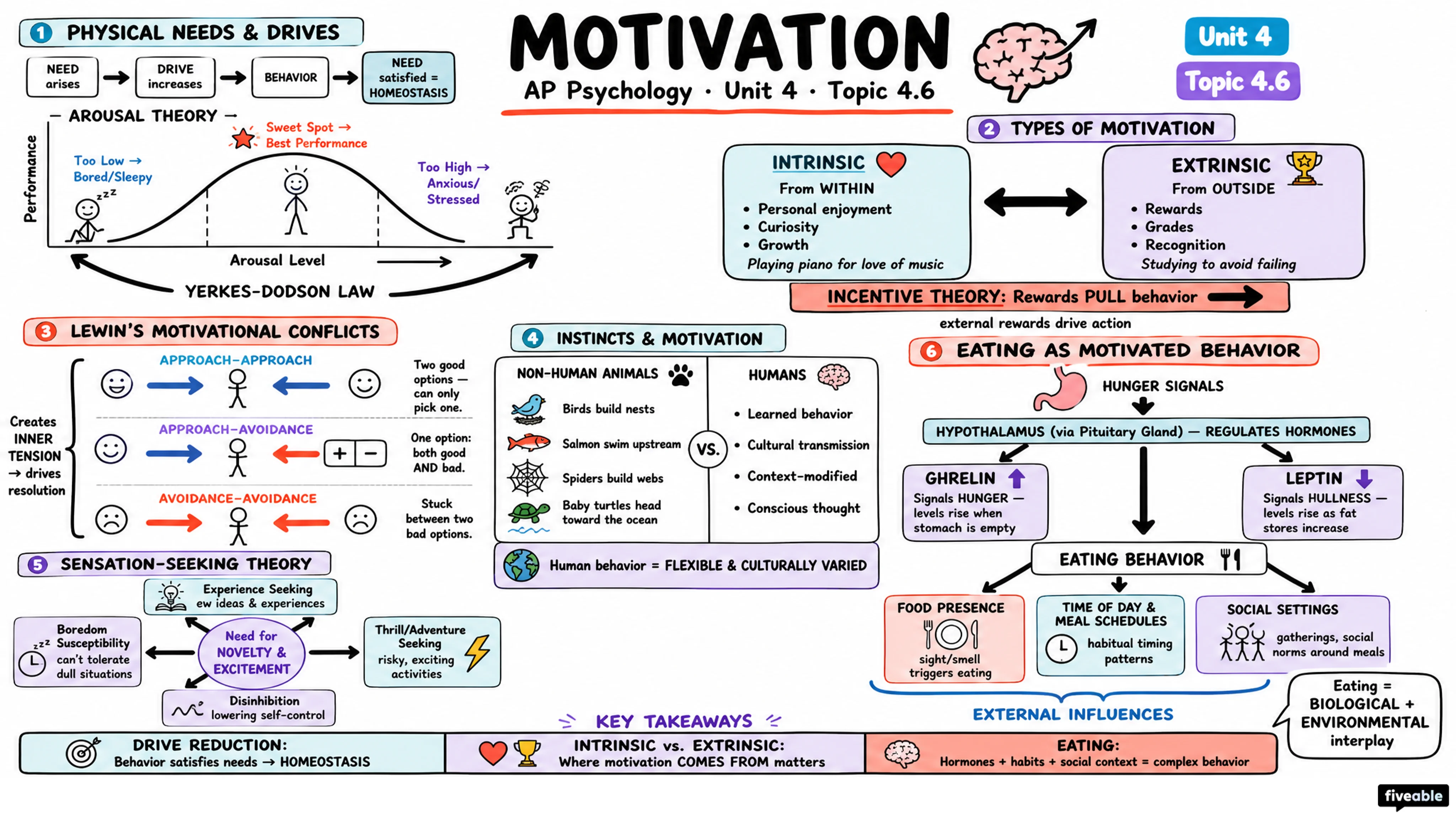 4.6 Motivation - AP Psychology - Unit 4 visual cheatsheet