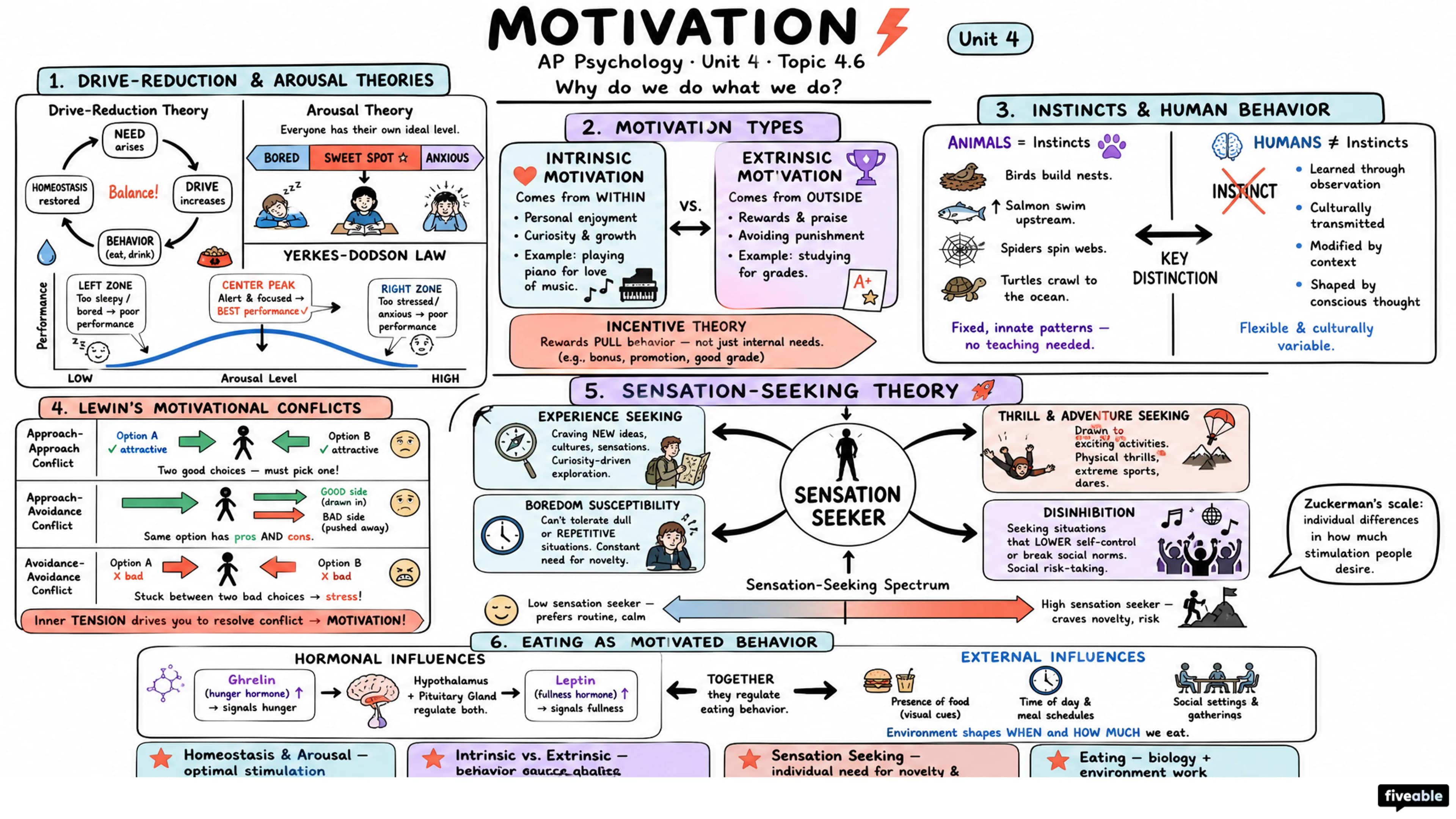 4.6 Motivation - AP Psychology - Unit 4 visual cheatsheet
