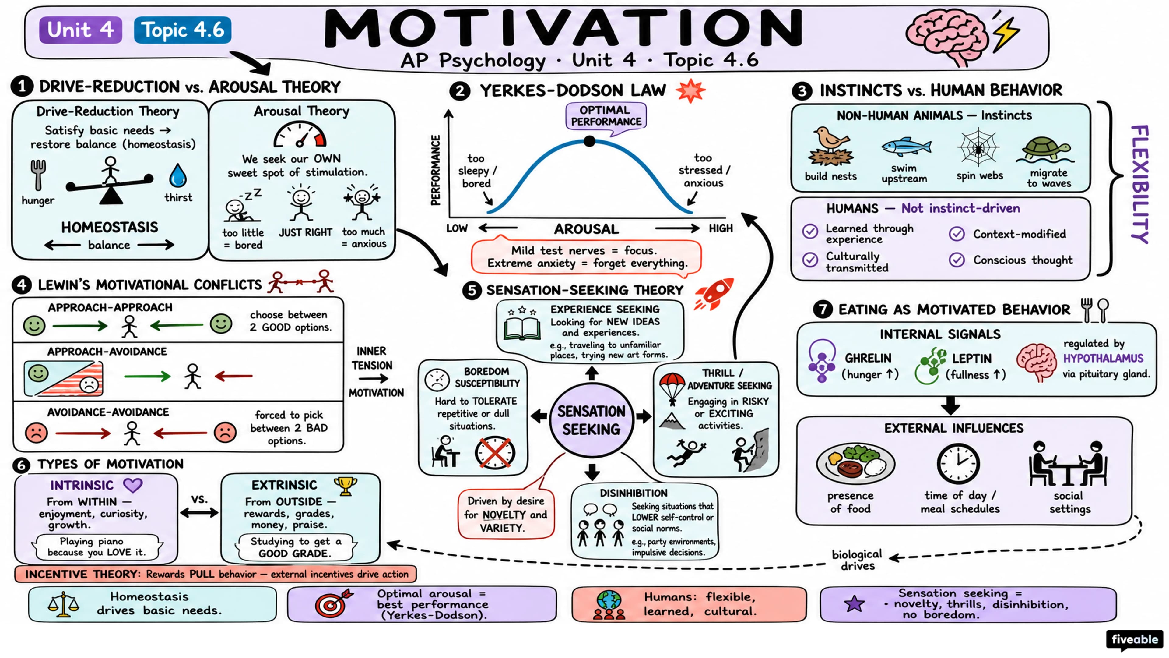 4.6 Motivation - AP Psychology - Unit 4 visual cheatsheet