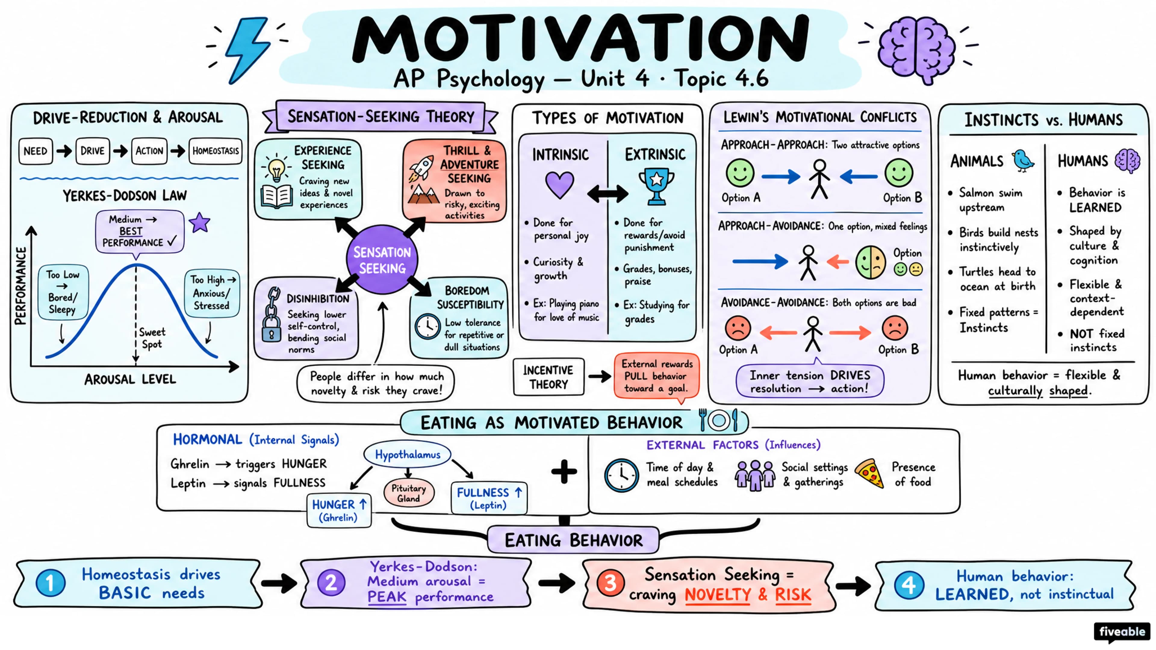 4.6 Motivation - AP Psychology - Unit 4 visual cheatsheet