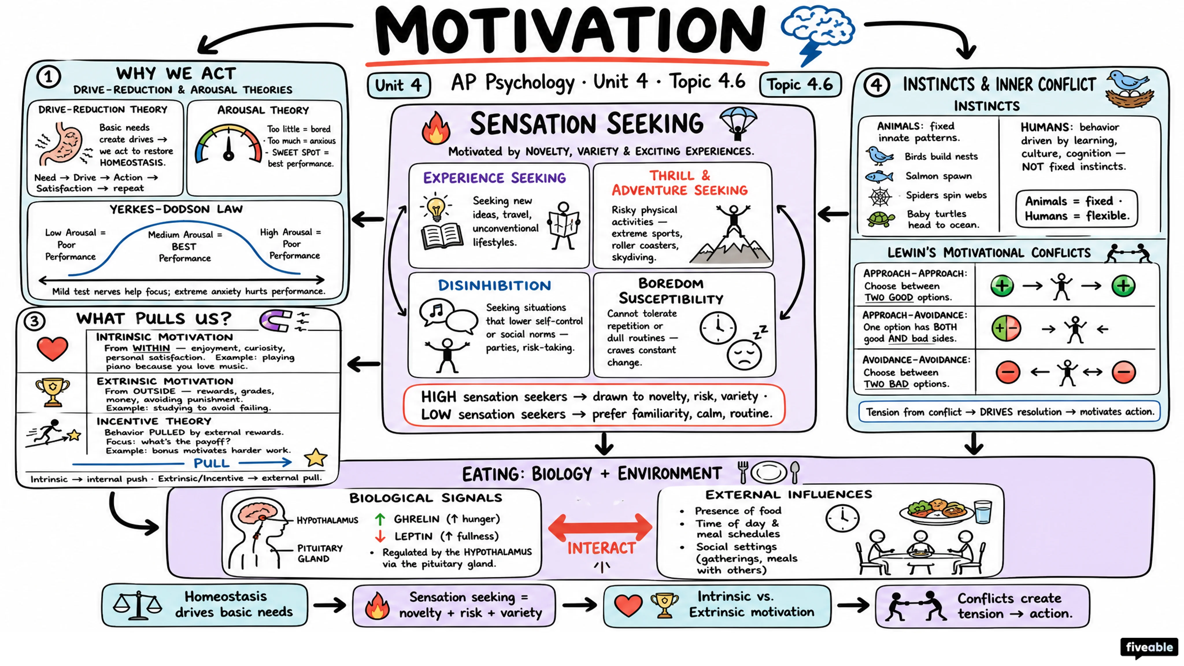 4.6 Motivation - AP Psychology - Unit 4 visual cheatsheet