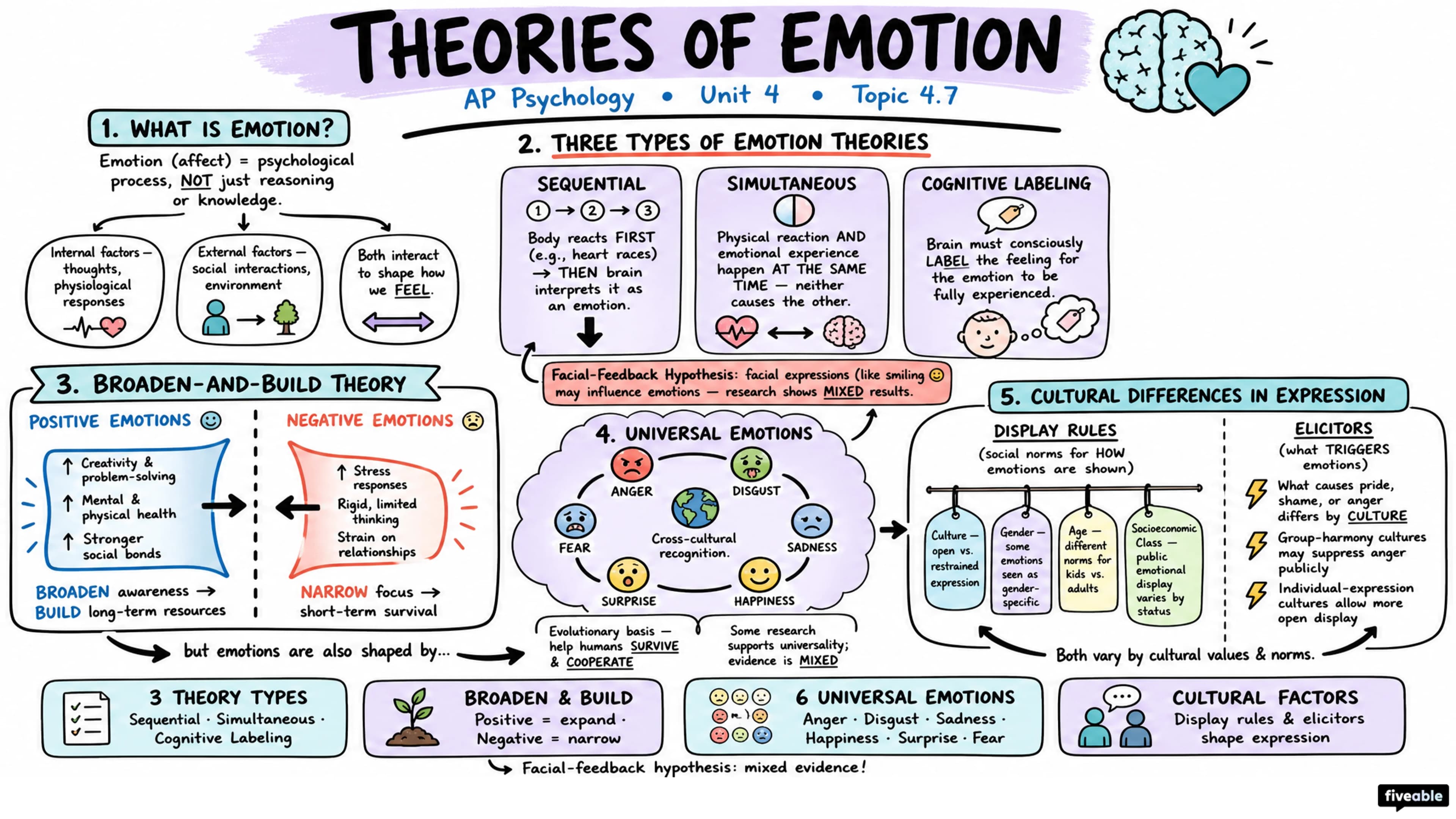 4.7 Emotion - AP Psychology - Unit 4 visual cheatsheet