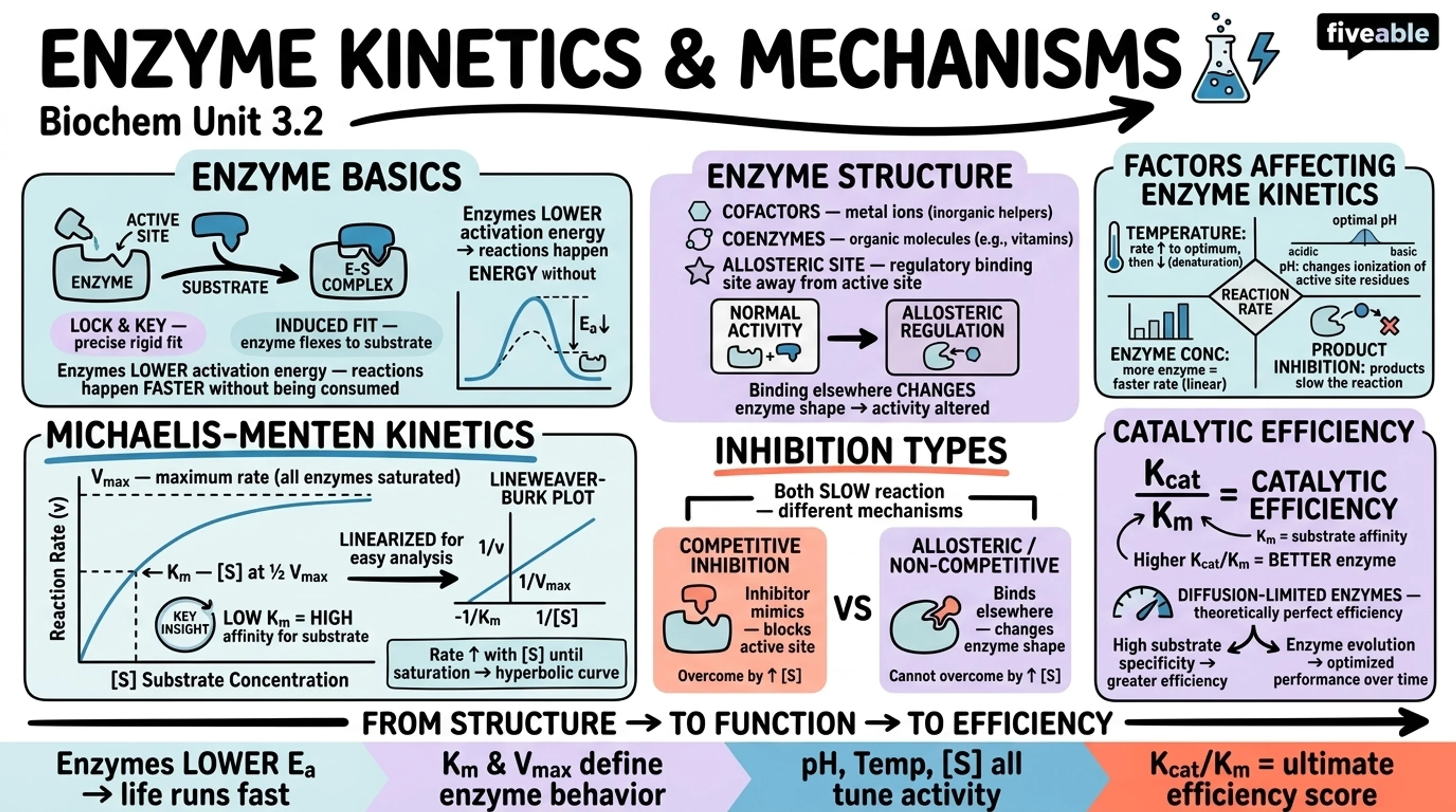 3.2 Enzyme Kinetics and Mechanisms - Biochemistry - Unit 3 visual cheatsheet