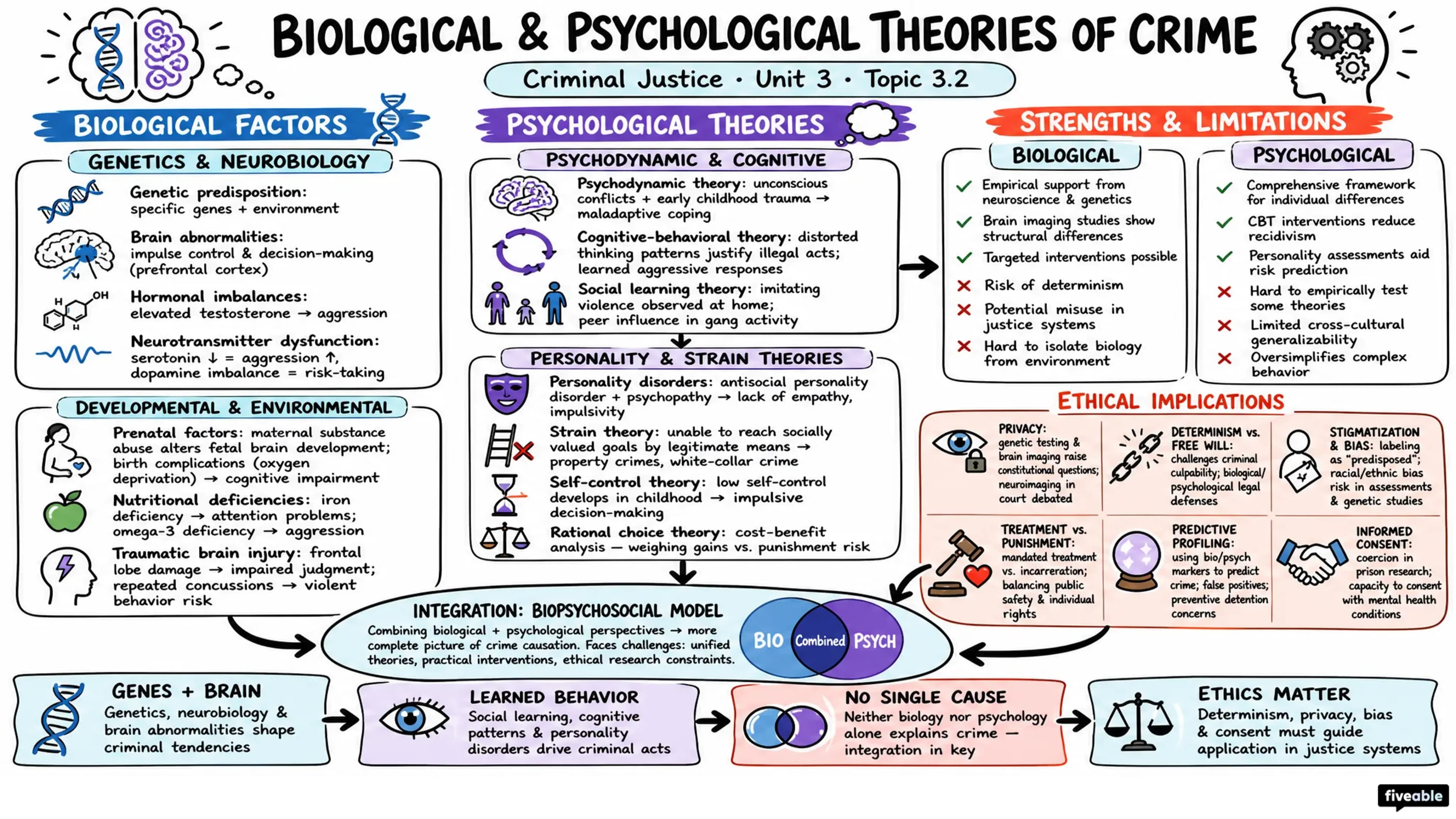 3.2 Biological and Psychological Theories - Criminal Justice - Unit 3 visual cheatsheet