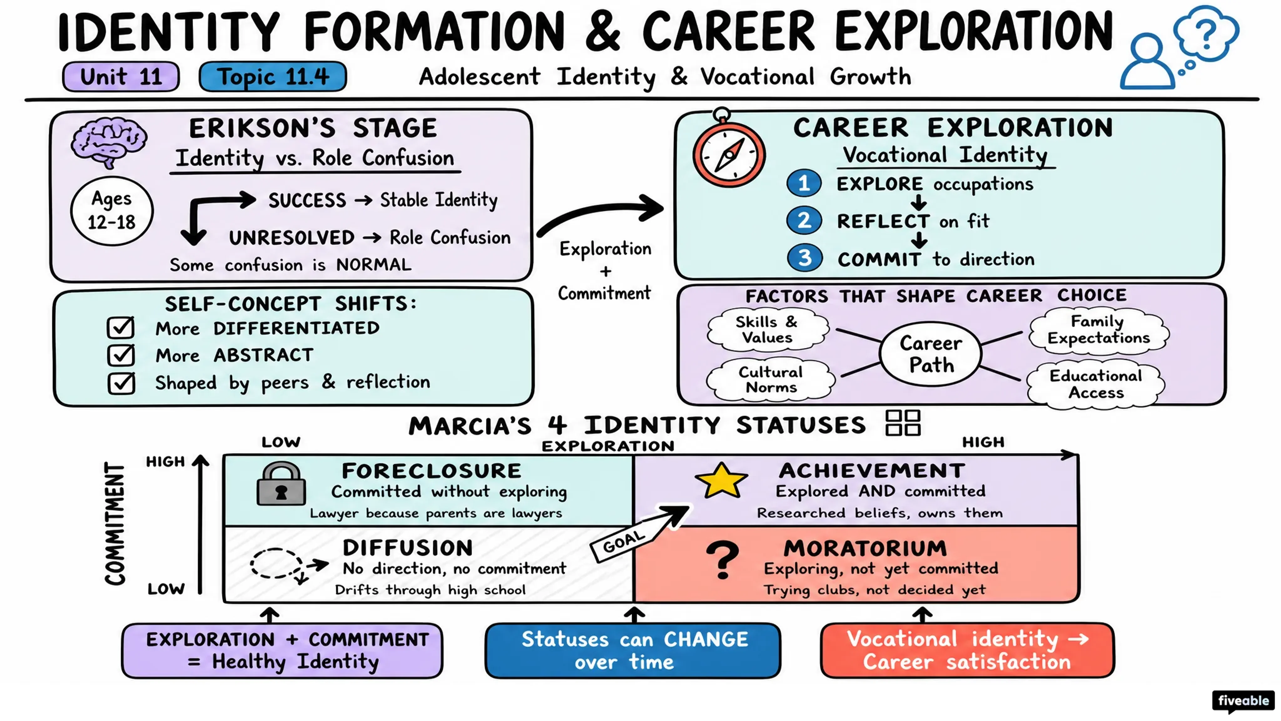 11.4 Identity Formation and Career Exploration - Developmental Psychology - Unit 11 visual cheatsheet