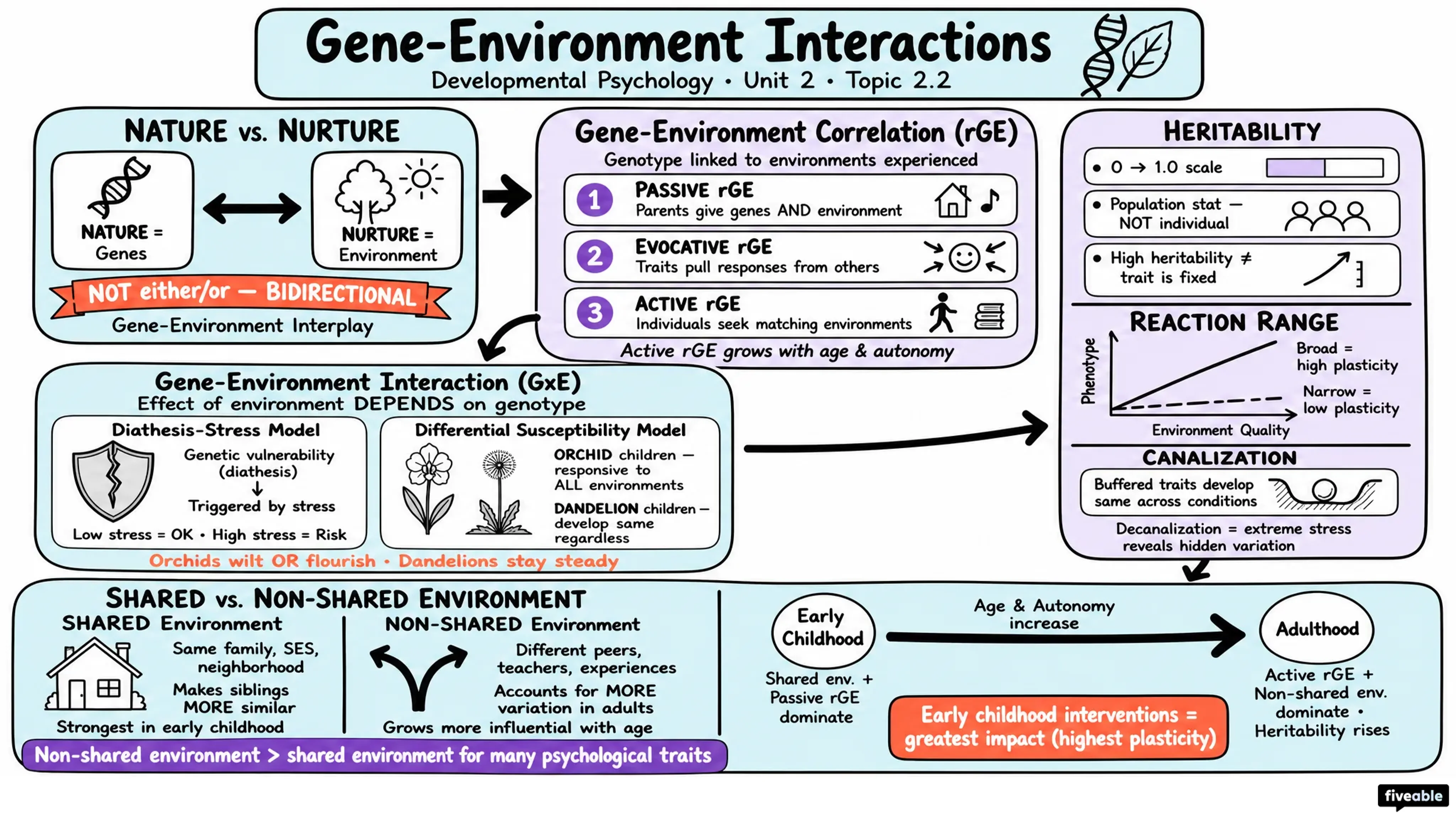 2.2 Gene-Environment Interactions - Developmental Psychology - Unit 2 visual cheatsheet