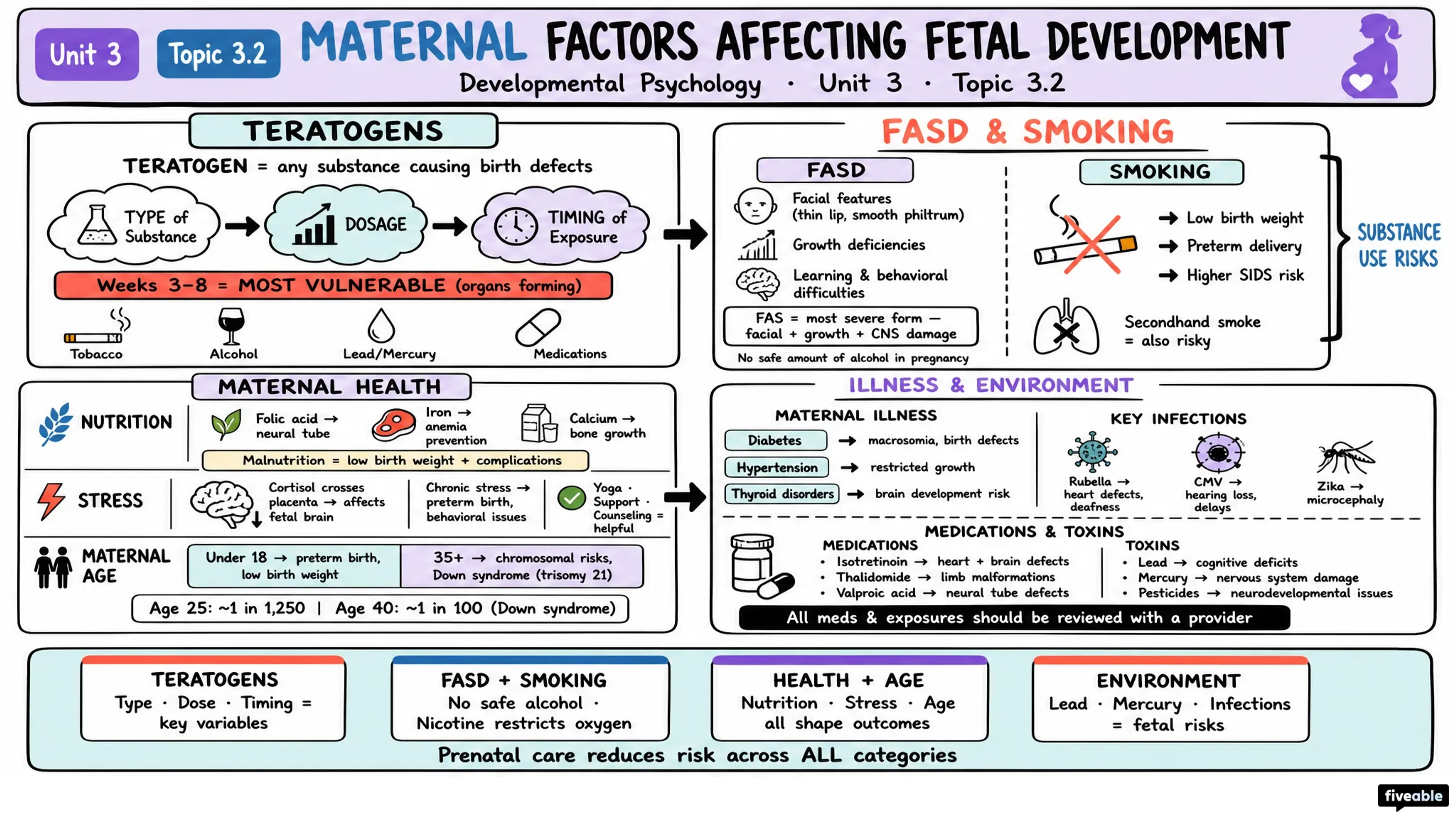 3.2 Maternal Factors Affecting Fetal Development - Developmental Psychology - Unit 3 visual cheatsheet