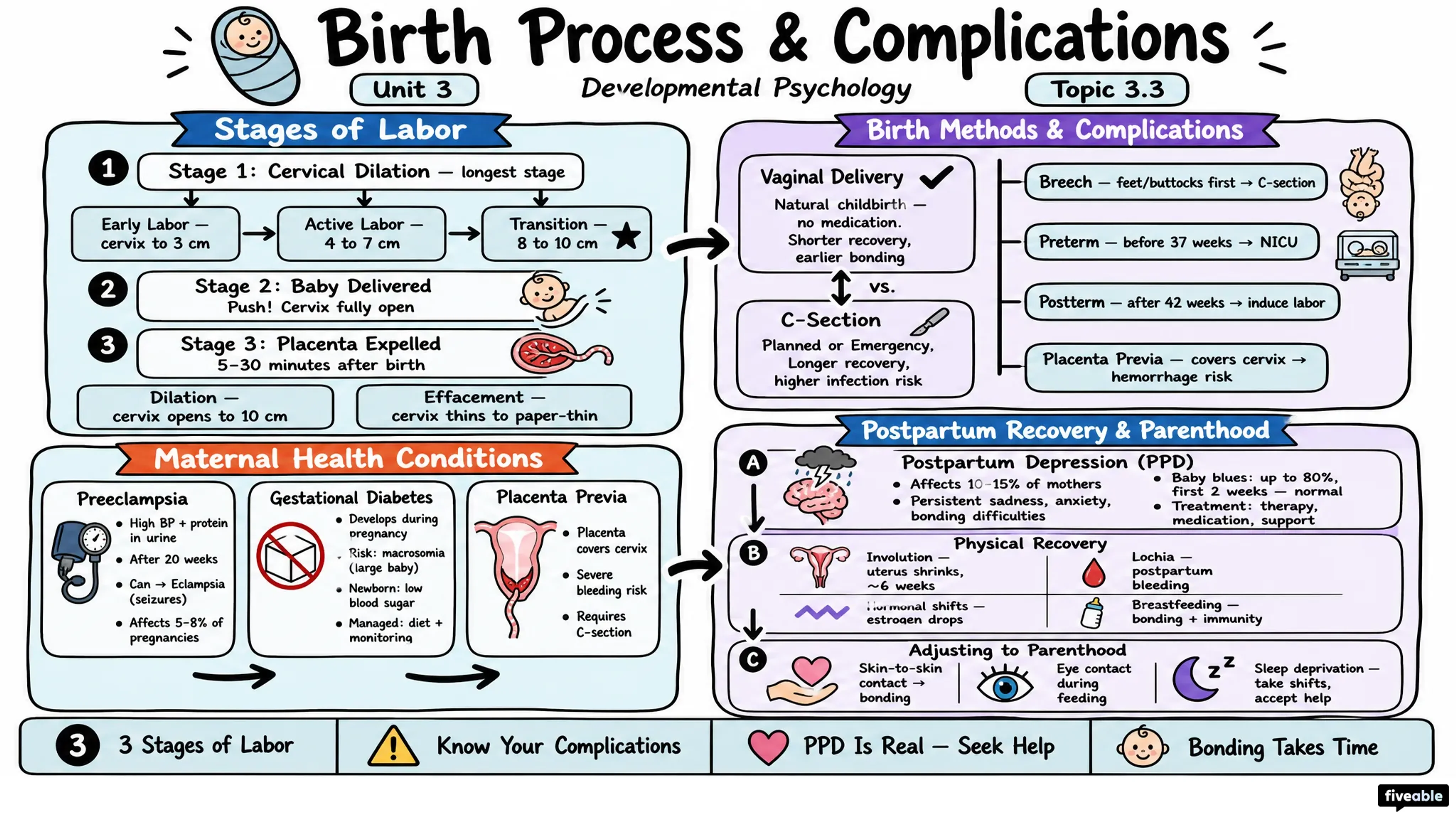 3.3 Birth Process and Complications - Developmental Psychology - Unit 3 visual cheatsheet