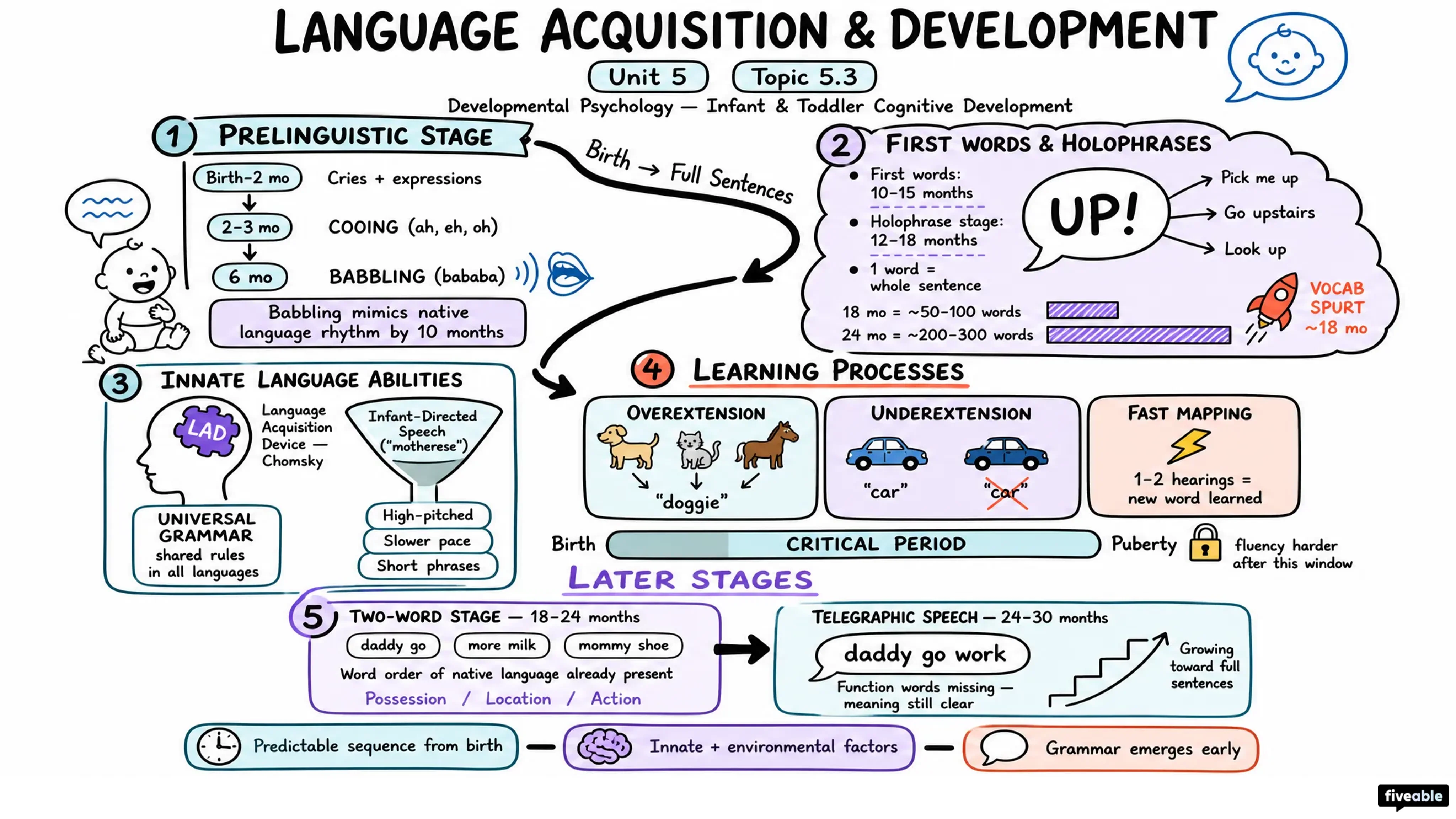 5.3 Language Acquisition and Development - Developmental Psychology - Unit 5 visual cheatsheet