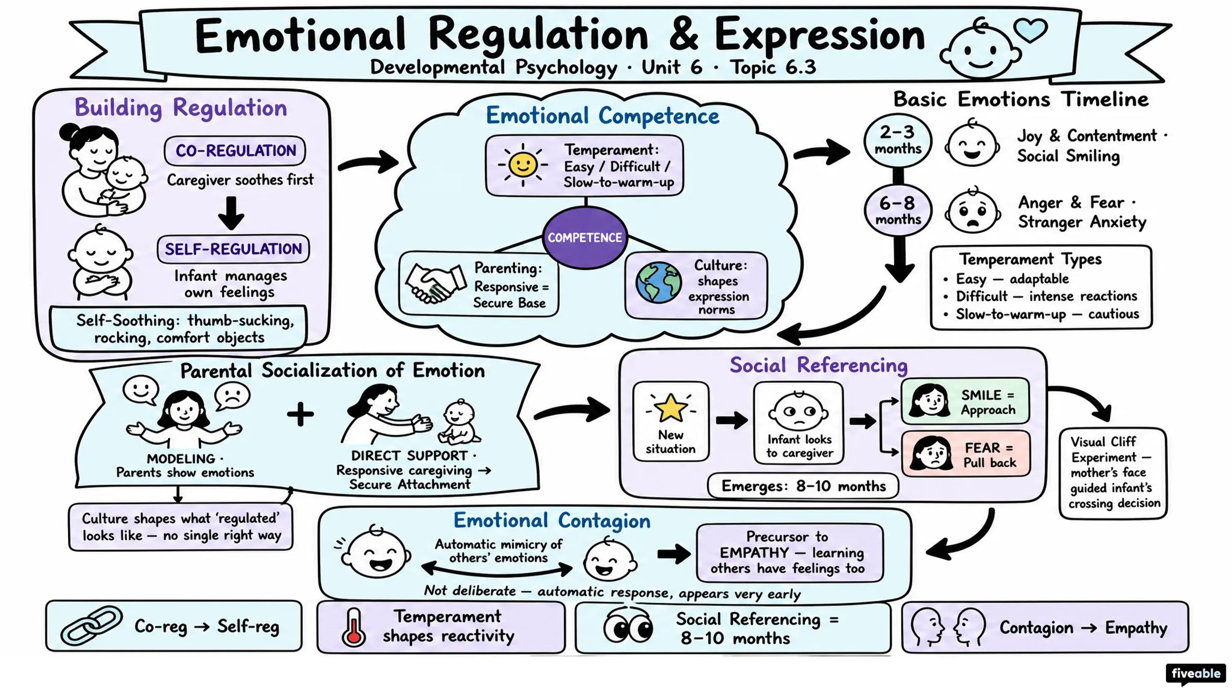 6.3 Emotional Regulation and Expression - Developmental Psychology - Unit 6 visual cheatsheet