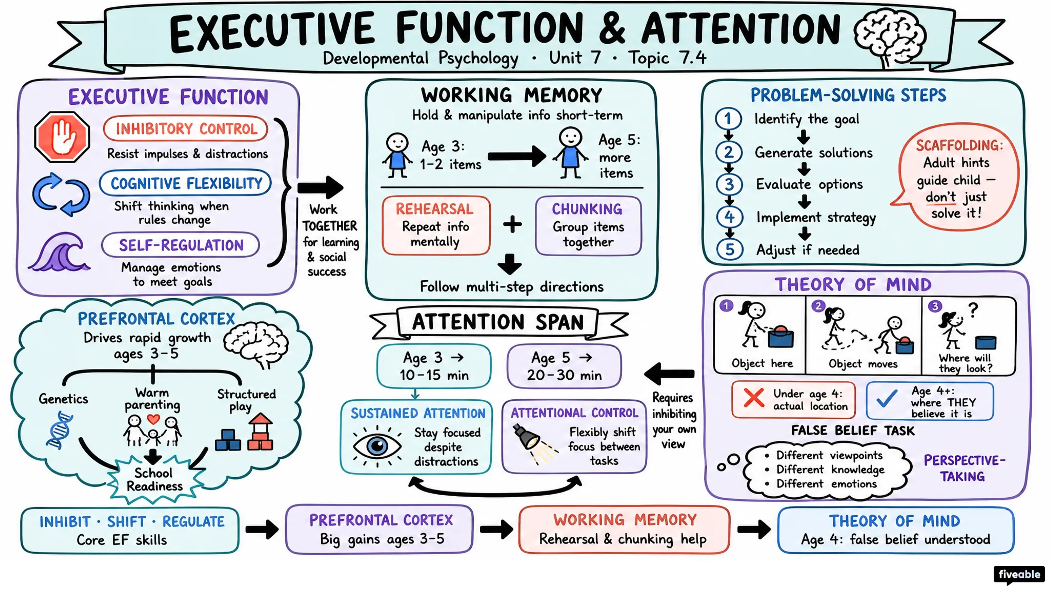 7.4 Executive Function and Attention - Developmental Psychology - Unit 7 visual cheatsheet