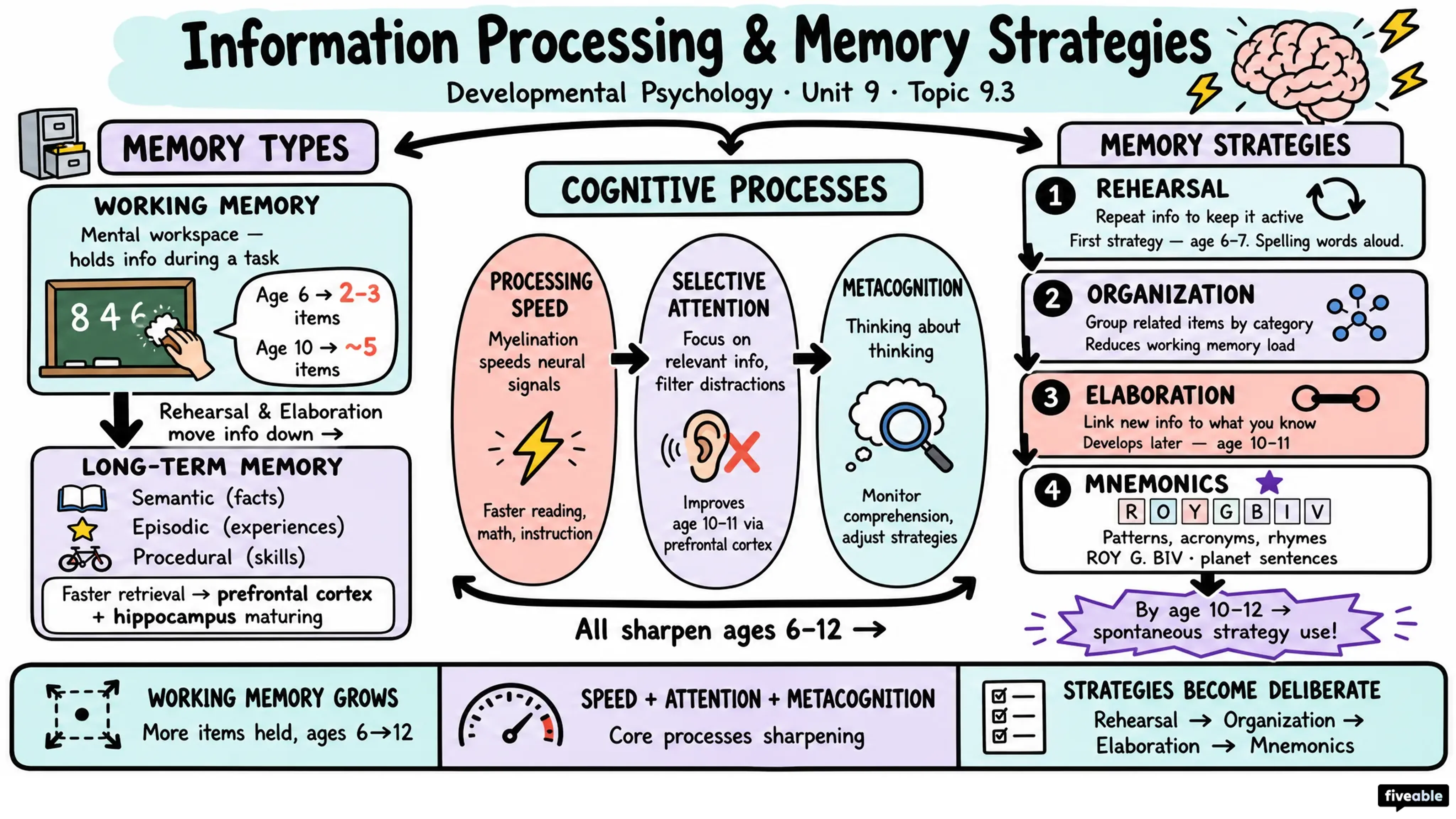 9.3 Information Processing and Memory Strategies - Developmental Psychology - Unit 9 visual cheatsheet