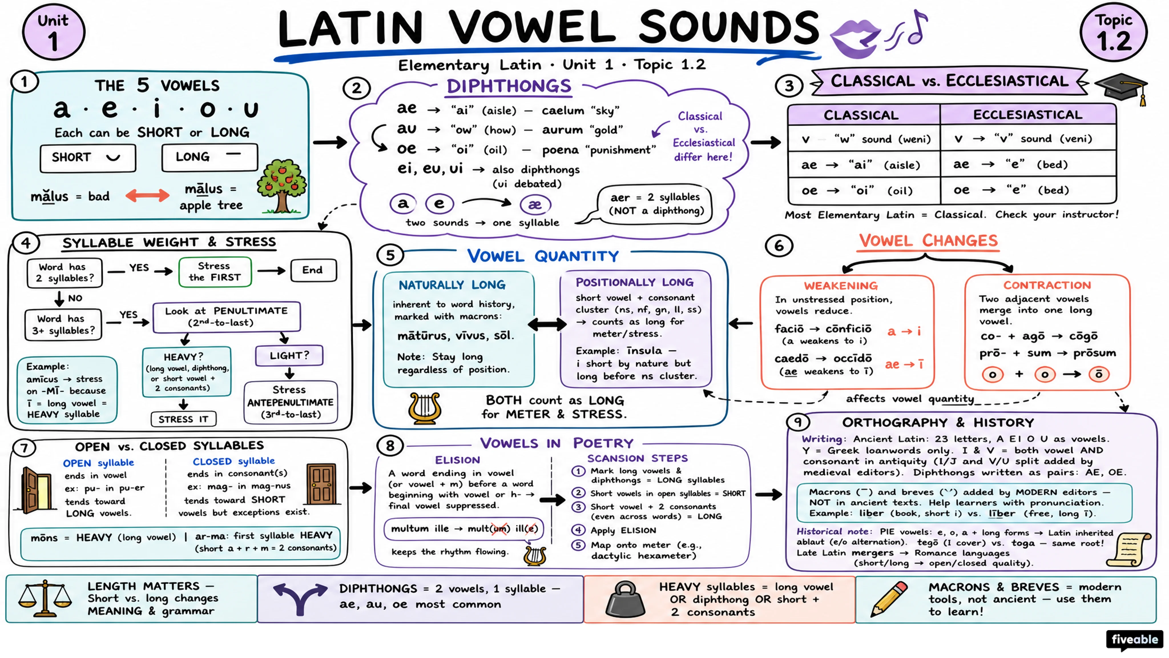 1.2 Vowel sounds - Elementary Latin - Unit 1 visual cheatsheet