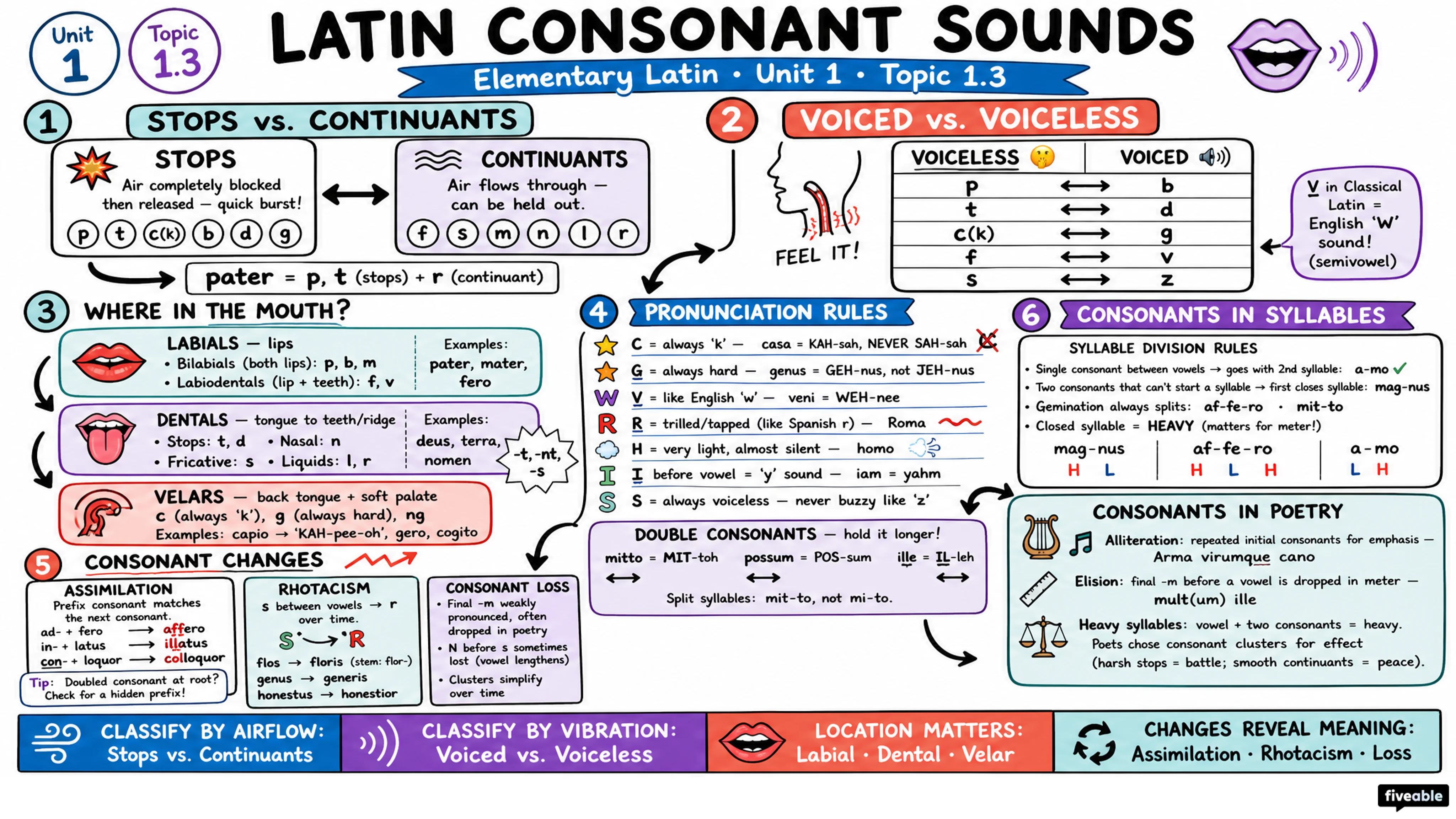 1.3 Consonant sounds - Elementary Latin - Unit 1 visual cheatsheet