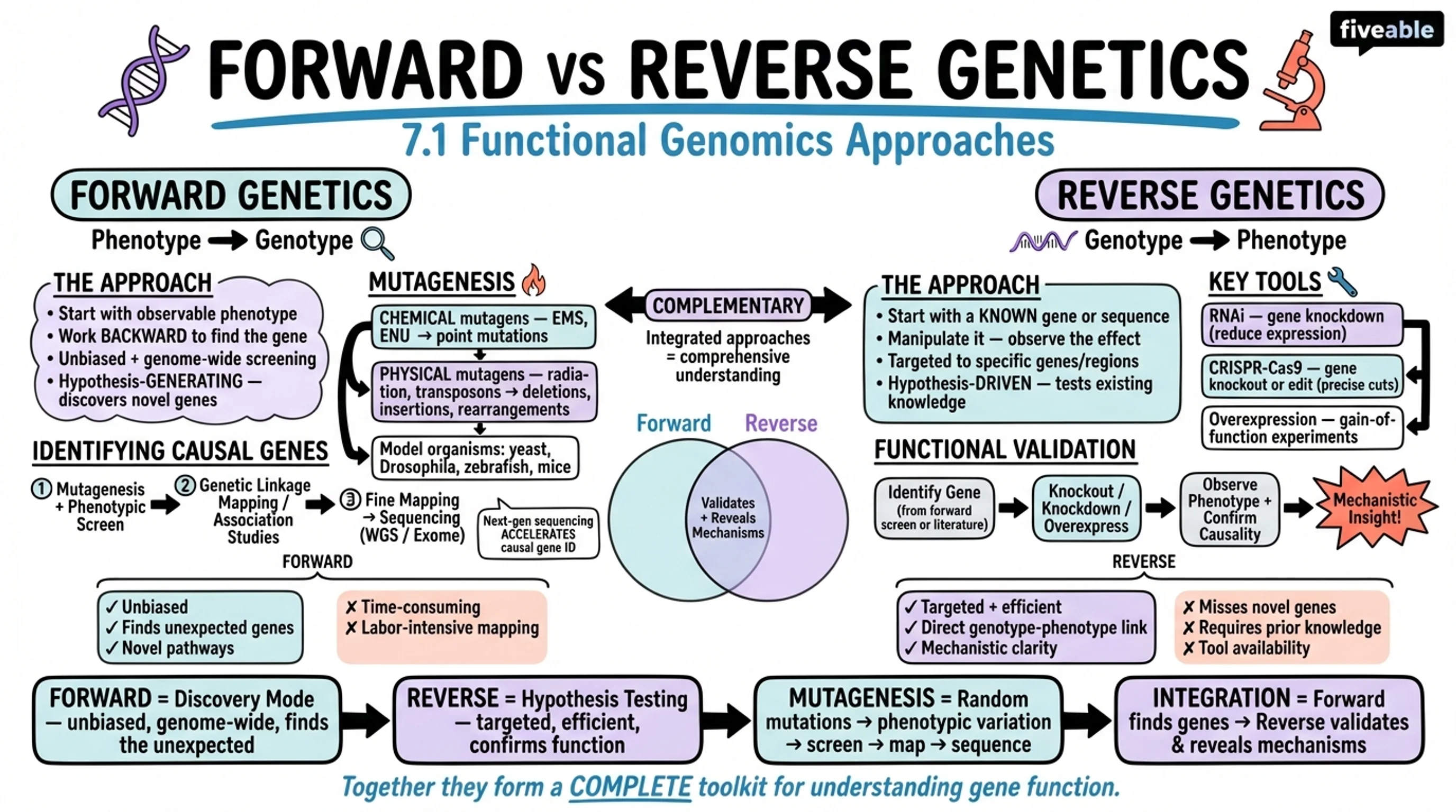 7.1 Forward and reverse genetic approaches - Genomics - Unit 7 visual cheatsheet