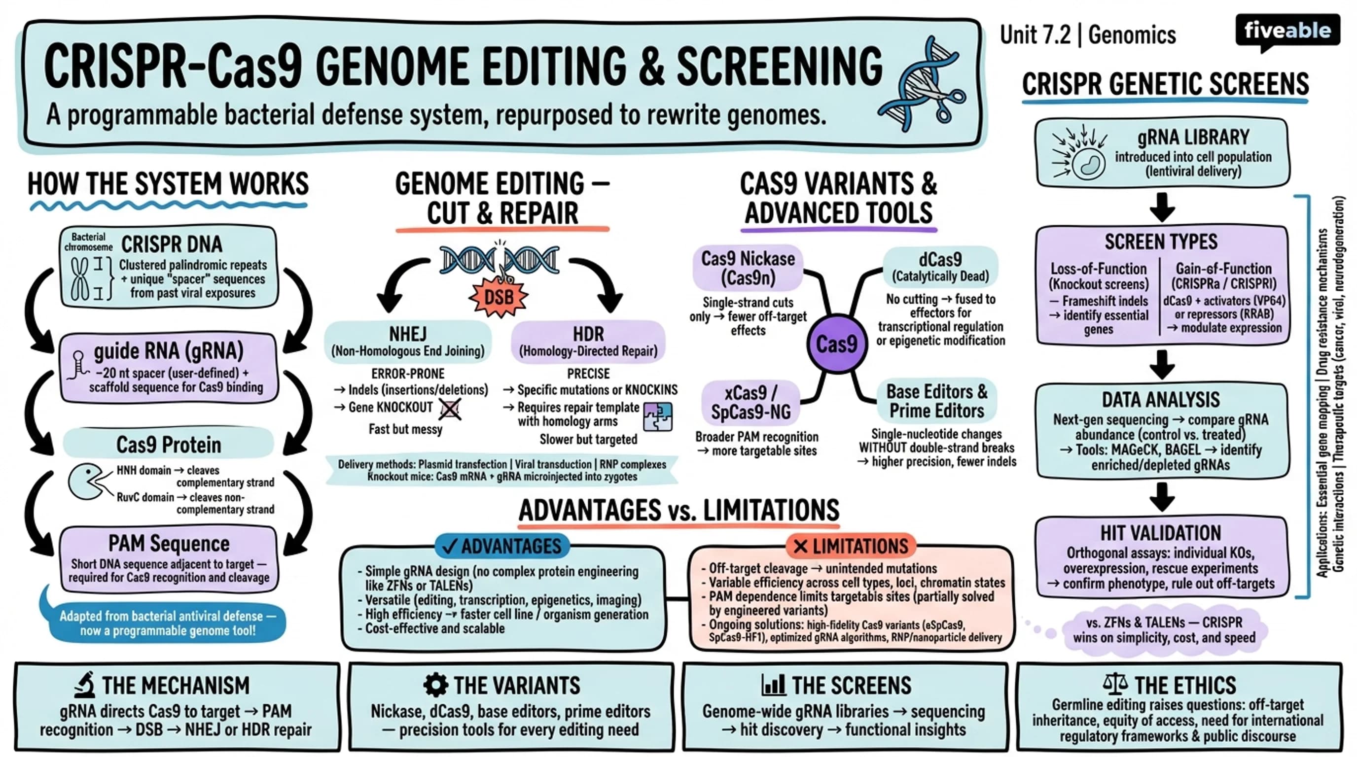 7.2 CRISPR-Cas9 genome editing and screening - Genomics - Unit 7 visual cheatsheet
