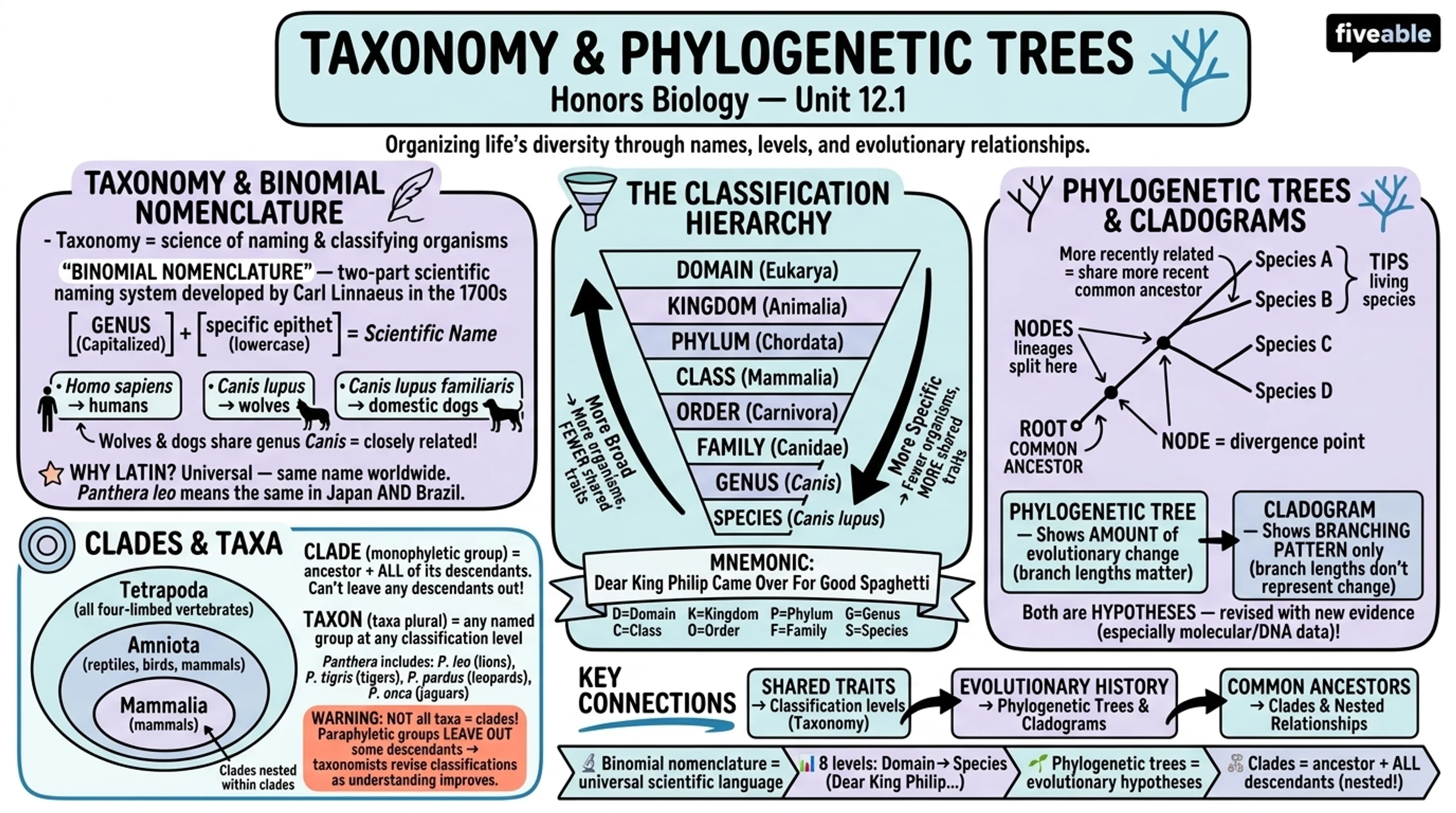 12.1 Taxonomy and Phylogenetic Trees - Honors Biology - Unit 12 visual cheatsheet