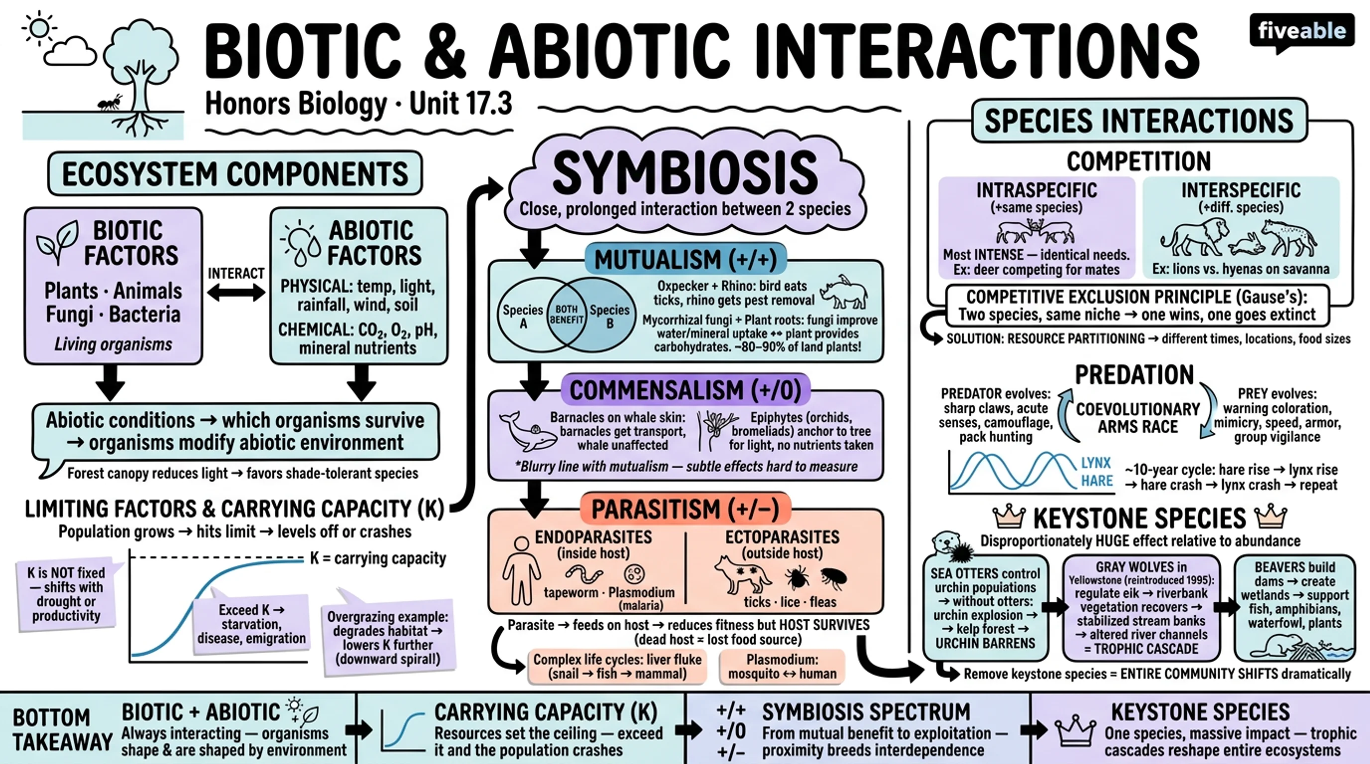 17.3 Biotic and Abiotic Interactions - Honors Biology - Unit 17 visual cheatsheet