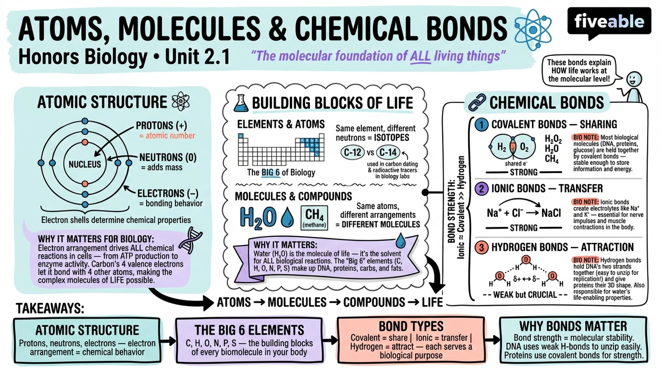 2.1 Atoms, Molecules, and Chemical Bonds - Honors Biology - Unit 2 visual cheatsheet