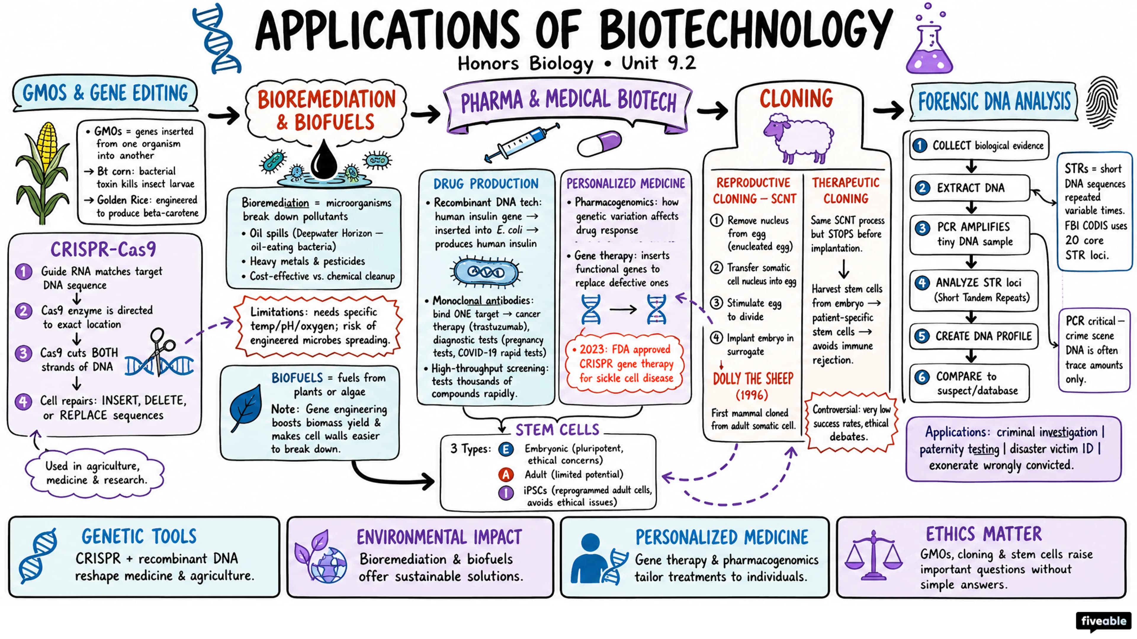 9.2 Applications of Biotechnology - Honors Biology - Unit 9 visual cheatsheet