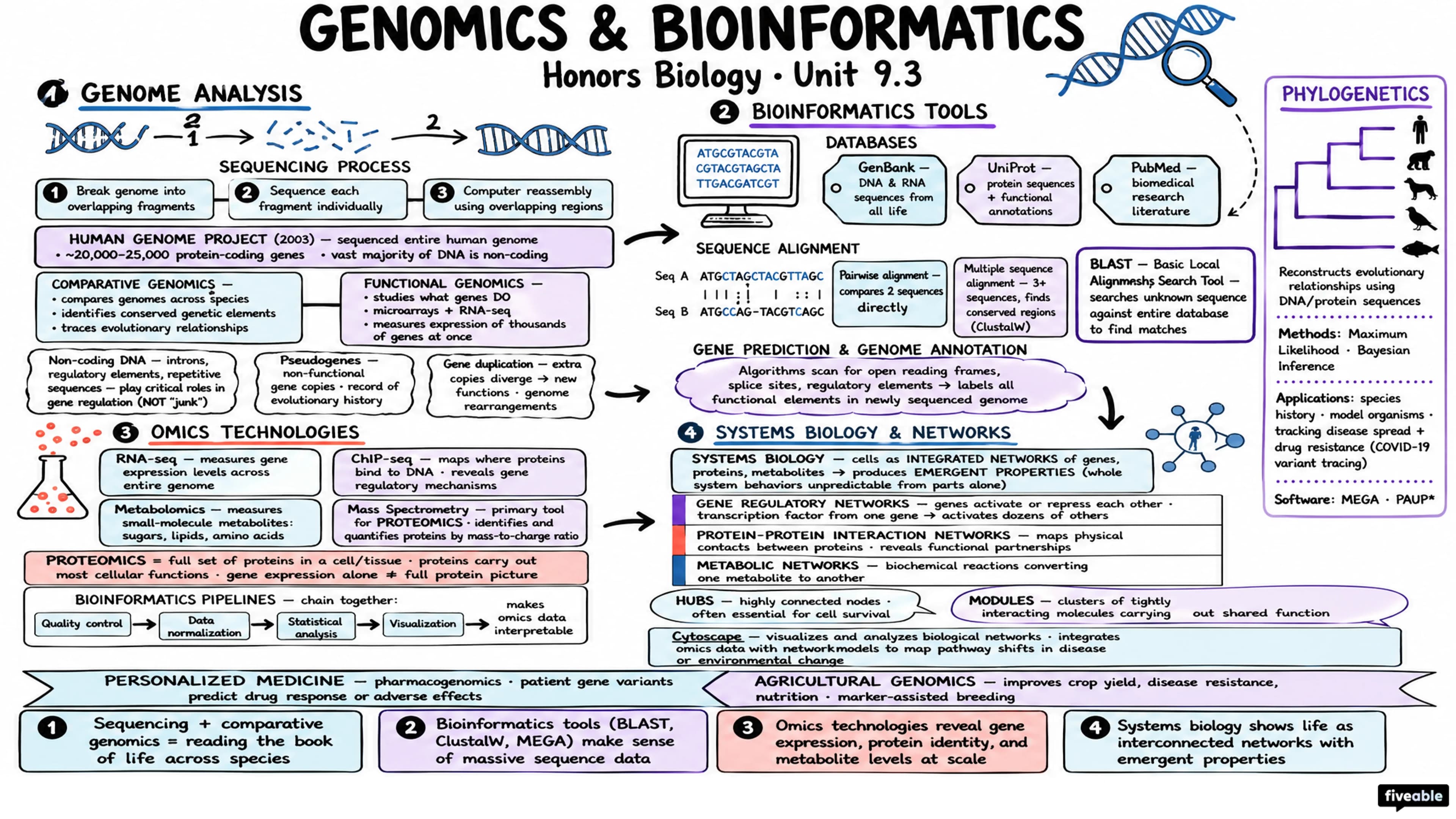 9.3 Genomics and Bioinformatics - Honors Biology - Unit 9 visual cheatsheet