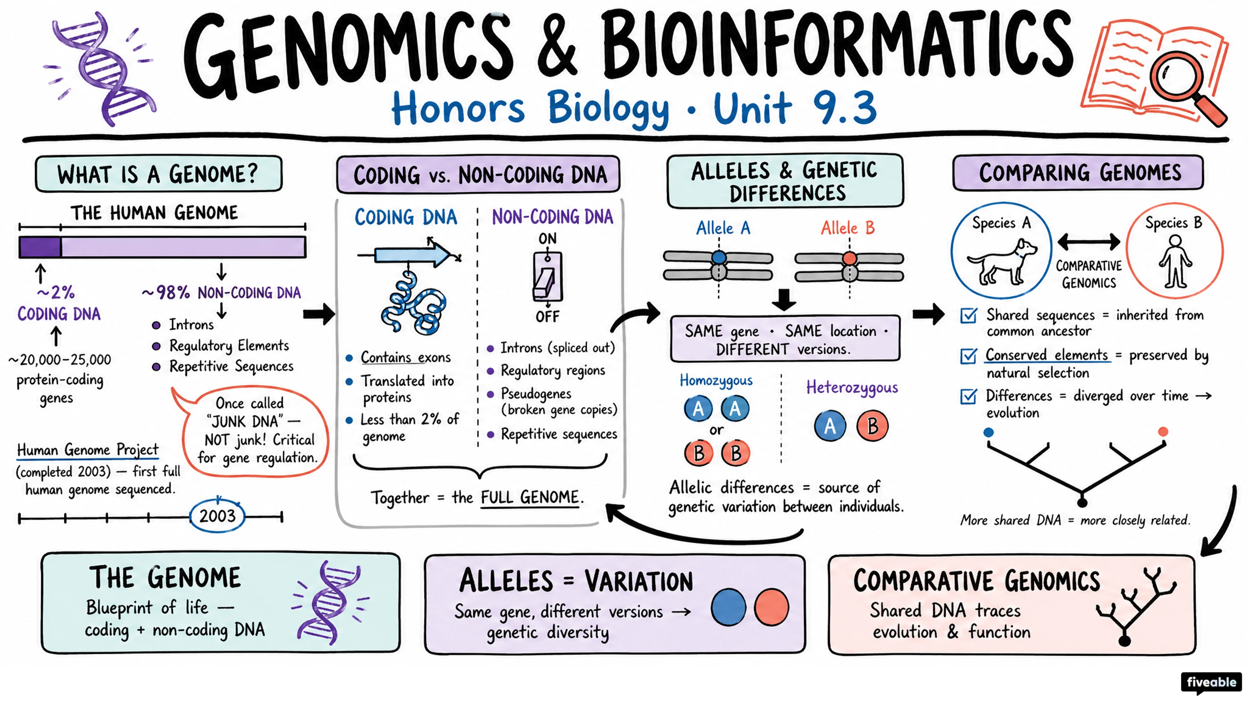 9.3 Genomics and Bioinformatics - Honors Biology - Unit 9 visual cheatsheet