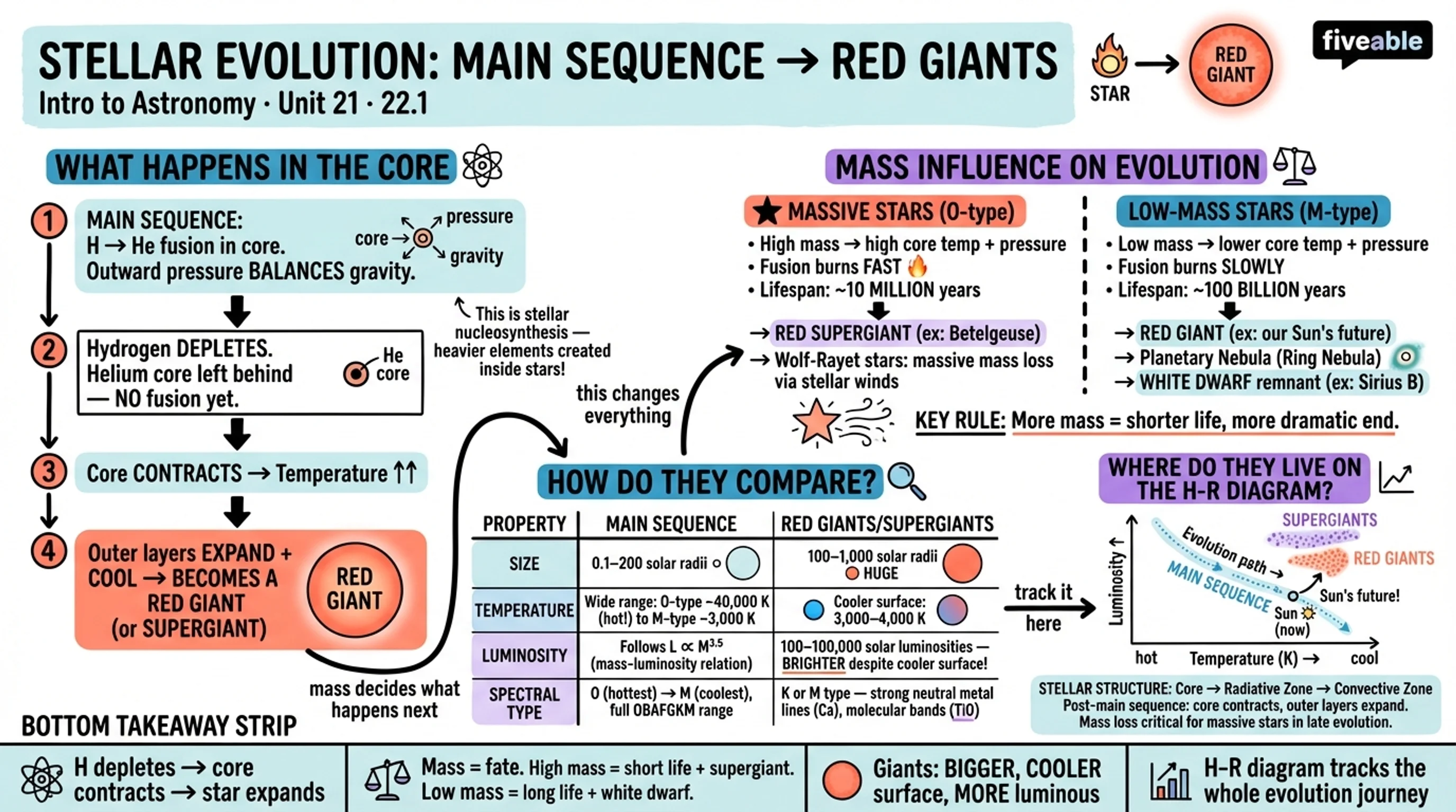 22.1 Evolution from the Main Sequence to Red Giants - Intro to Astronomy - Unit 22 visual cheatsheet