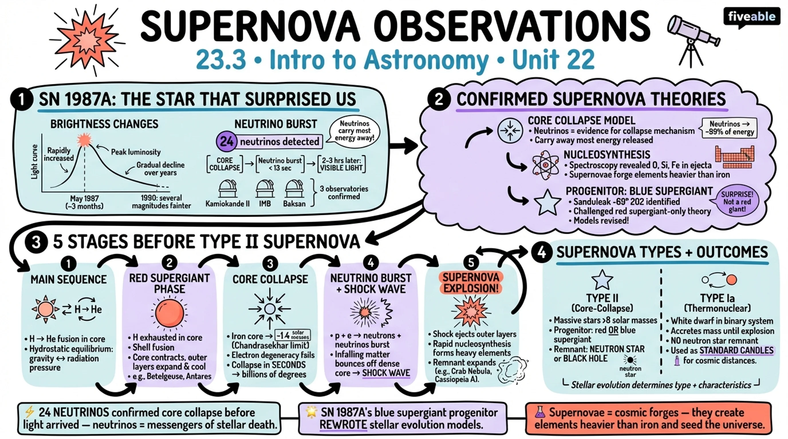 23.3 Supernova Observations - Intro to Astronomy - Unit 23 visual cheatsheet