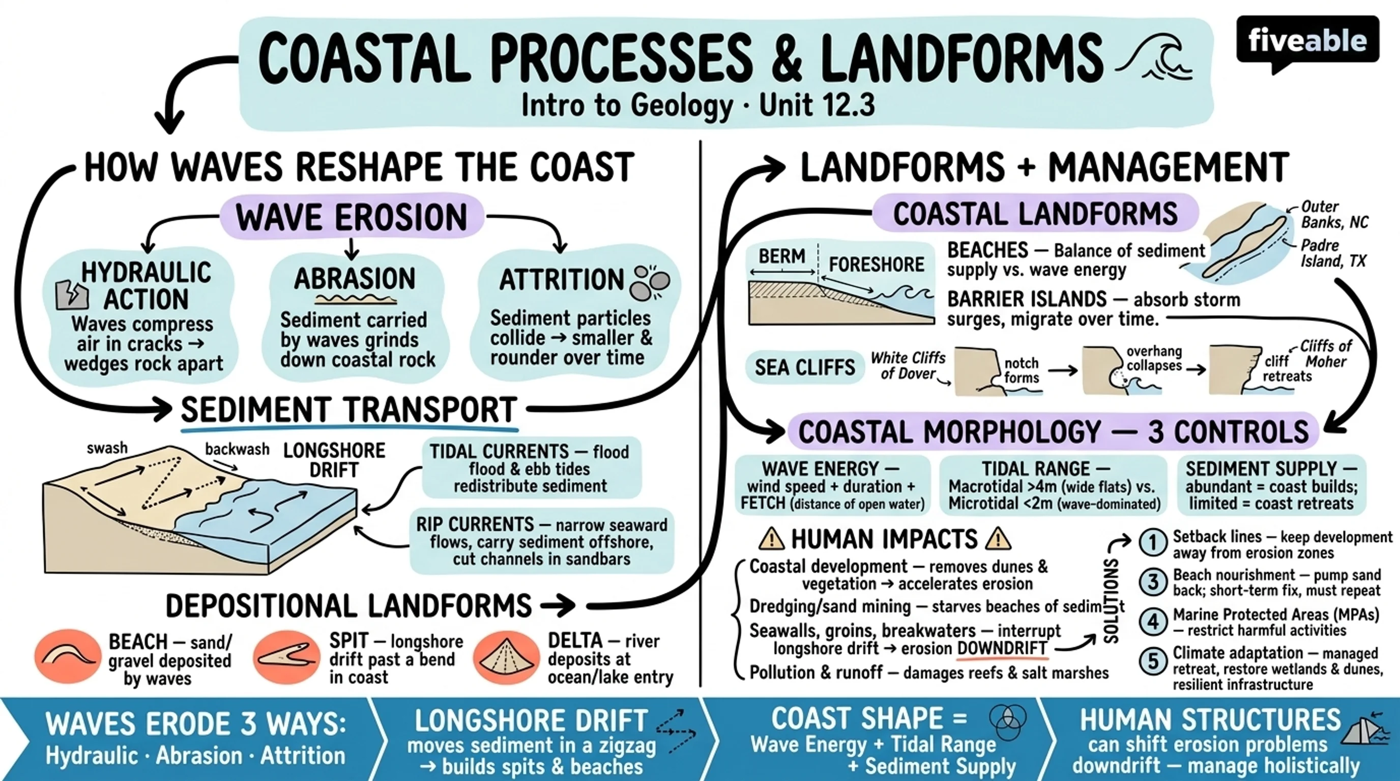 12.3 Coastal processes and landforms - Intro to Geology - Unit 12 visual cheatsheet