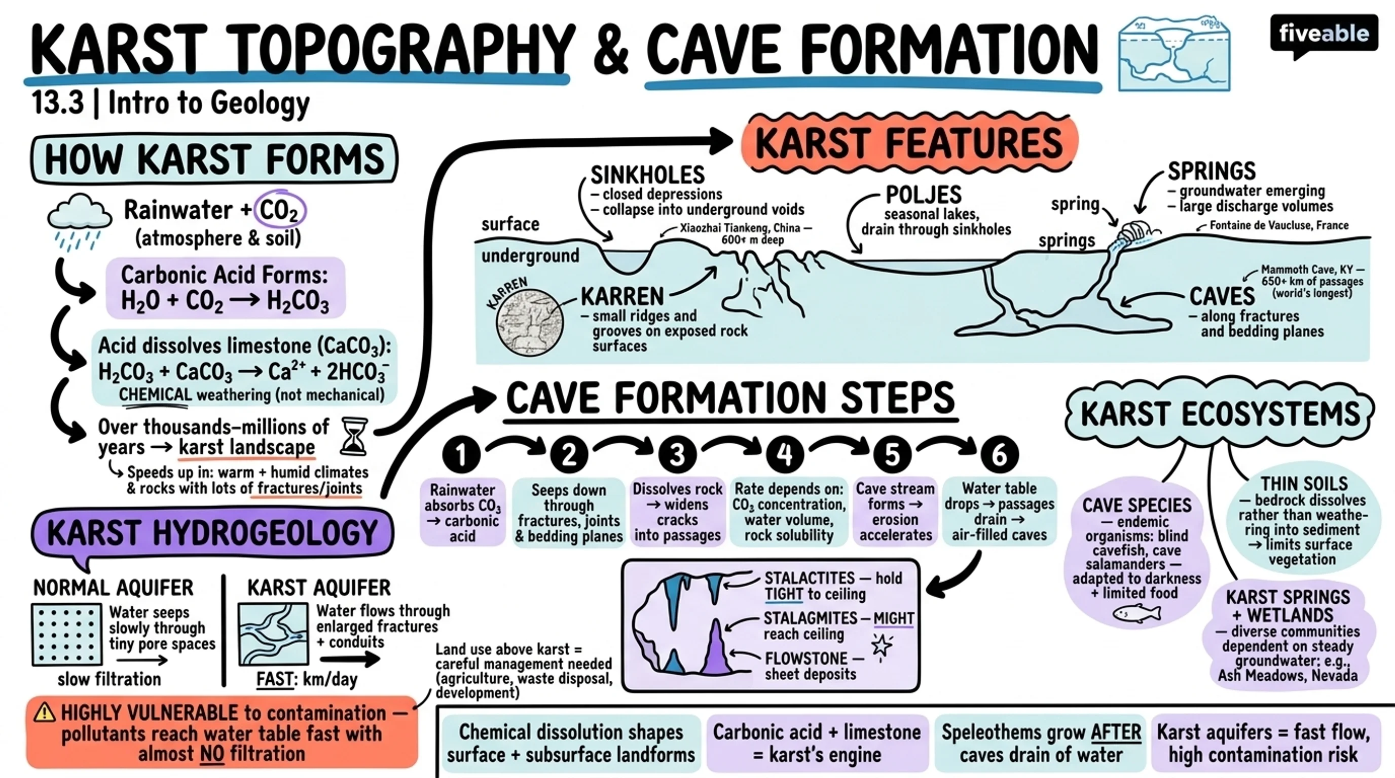 13.3 Karst topography and cave formation - Intro to Geology - Unit 13 visual cheatsheet