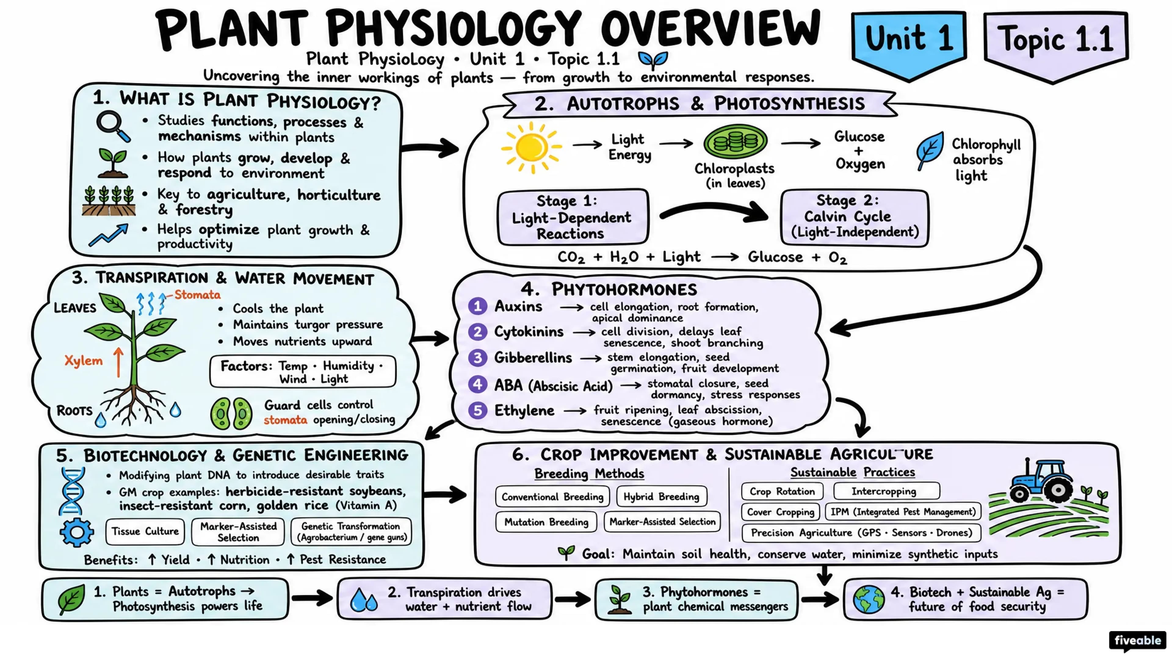1.1 Overview of plant physiology and its importance - Plant Physiology - Unit 1 visual cheatsheet
