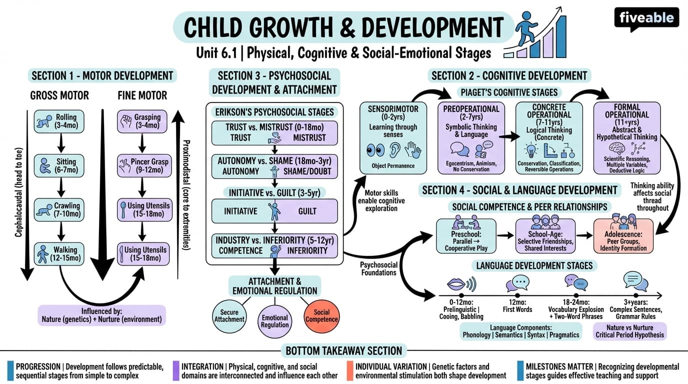 6.1 Physical, cognitive, and social-emotional development stages - Foundations of Education - Unit 6 visual cheatsheet