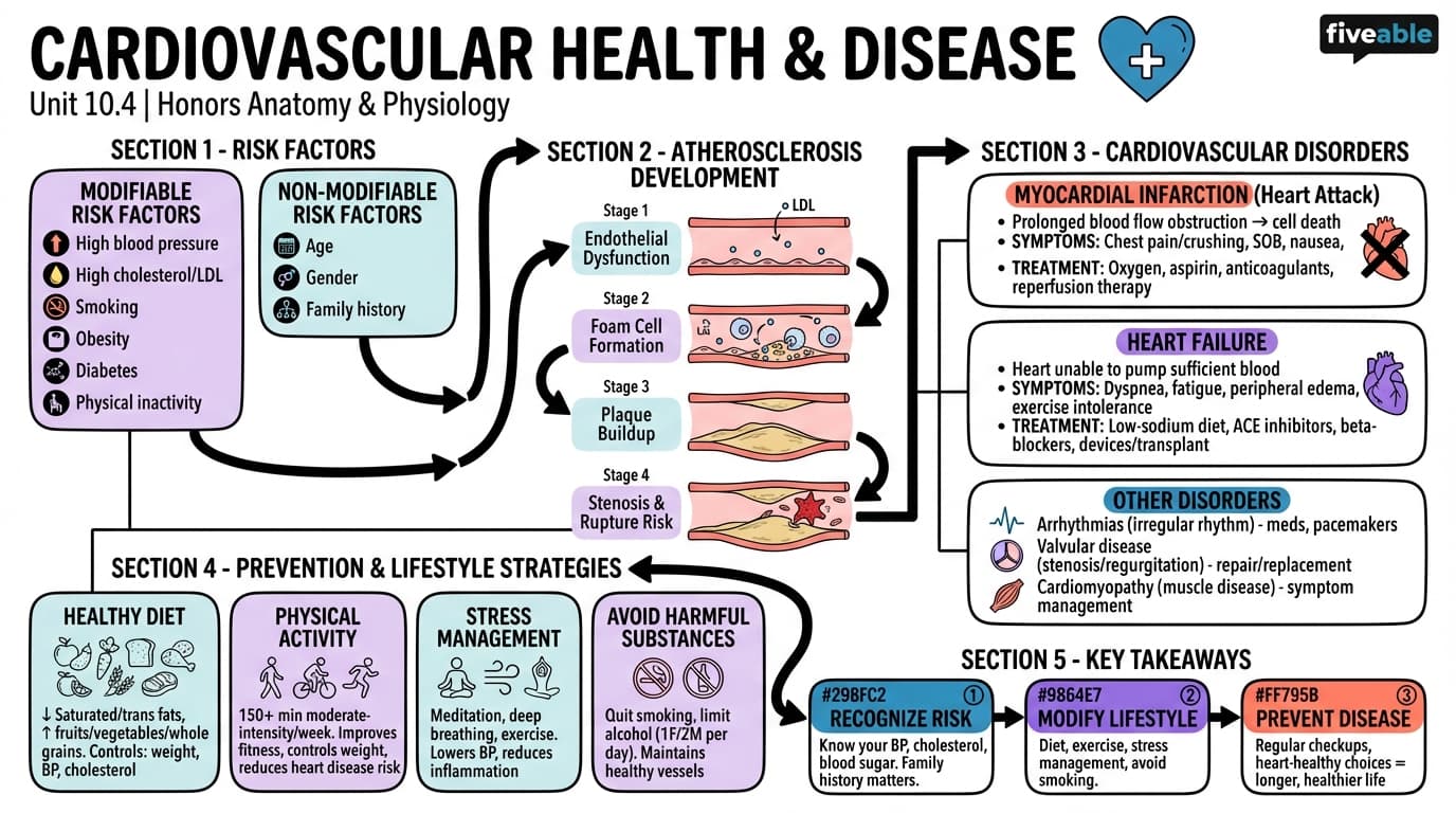 10.4 Cardiovascular Health and Disease - Honors Anatomy and Physiology - Unit 10 visual cheatsheet