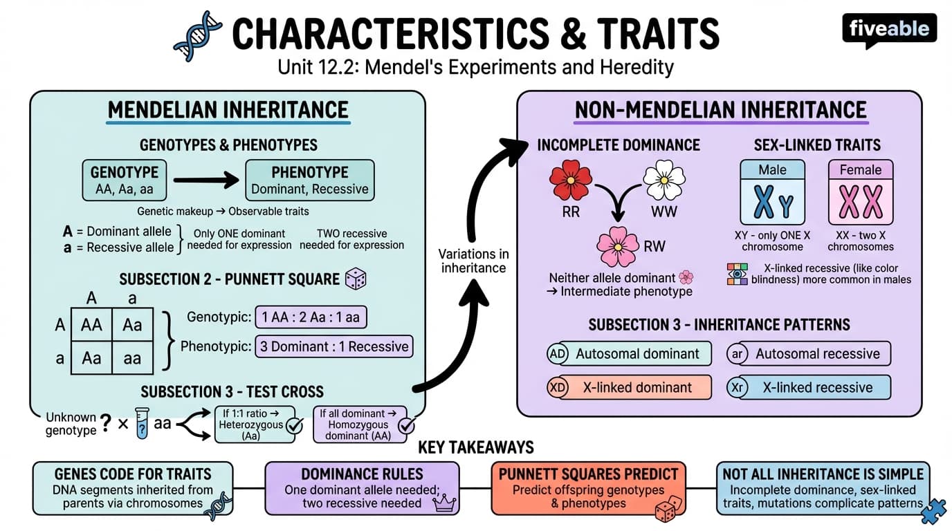 12.2 Characteristics and Traits - General Biology I - Unit 12 visual cheatsheet