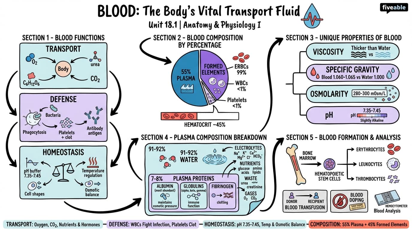 18.1 An Overview of Blood - Anatomy and Physiology I - Unit 18 visual cheatsheet