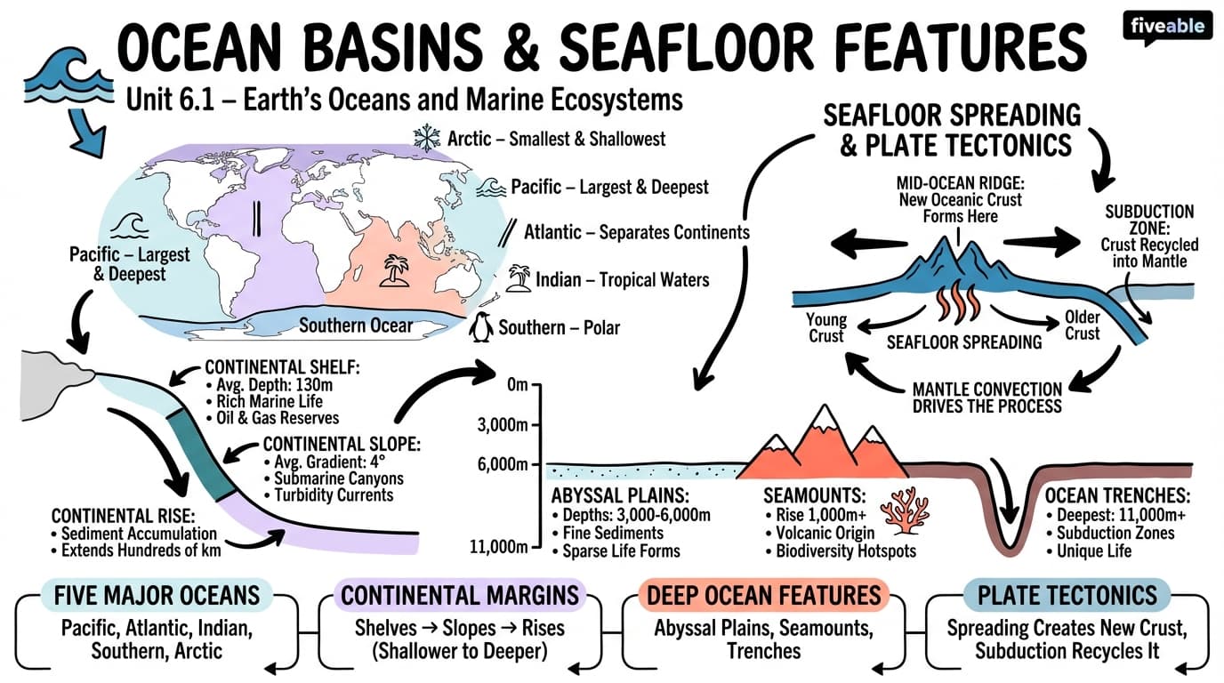 6.1 Ocean Basins and Seafloor Features - Earth Science - Unit 6 visual cheatsheet