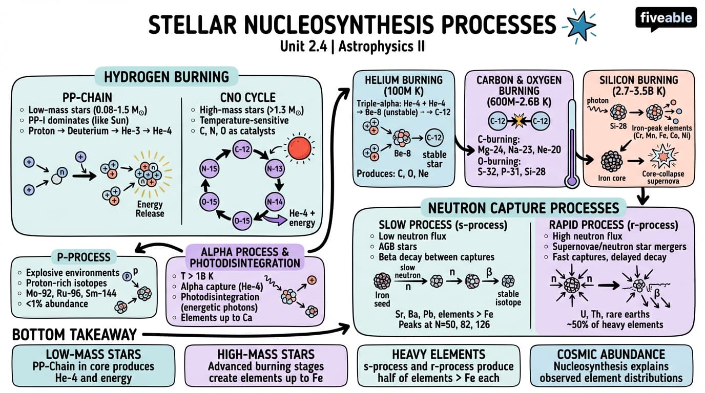 2.4 Stellar Nucleosynthesis Processes - Astrophysics II - Unit 2 visual cheatsheet