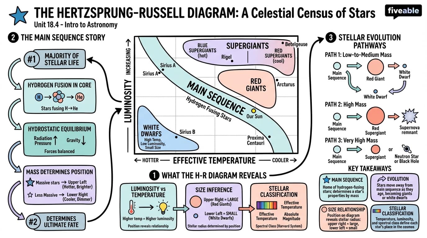 18.4 The H–R Diagram - Intro to Astronomy - Unit 18 visual cheatsheet