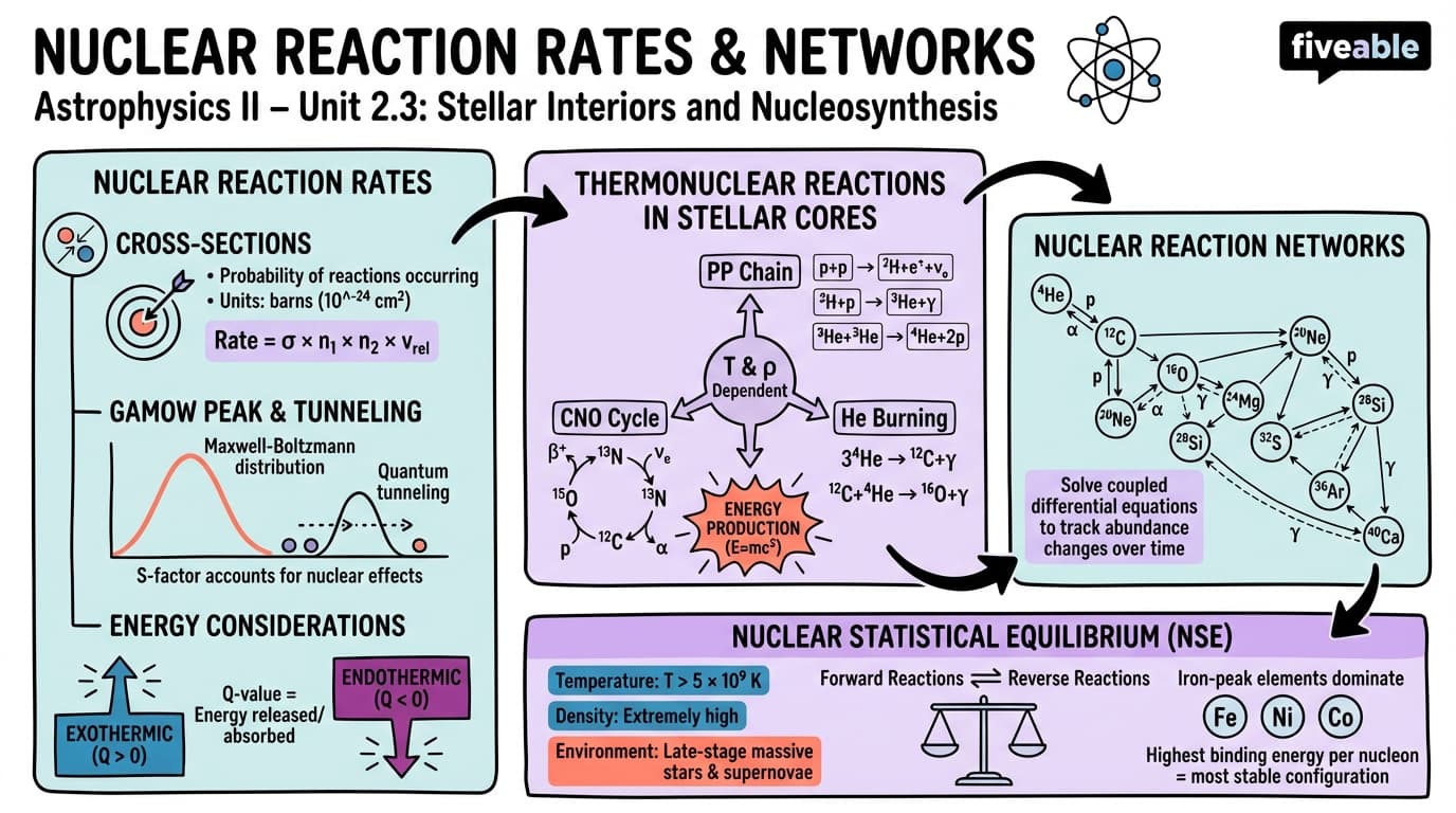 2.3 Nuclear Reaction Rates and Networks - Astrophysics II - Unit 2 visual cheatsheet