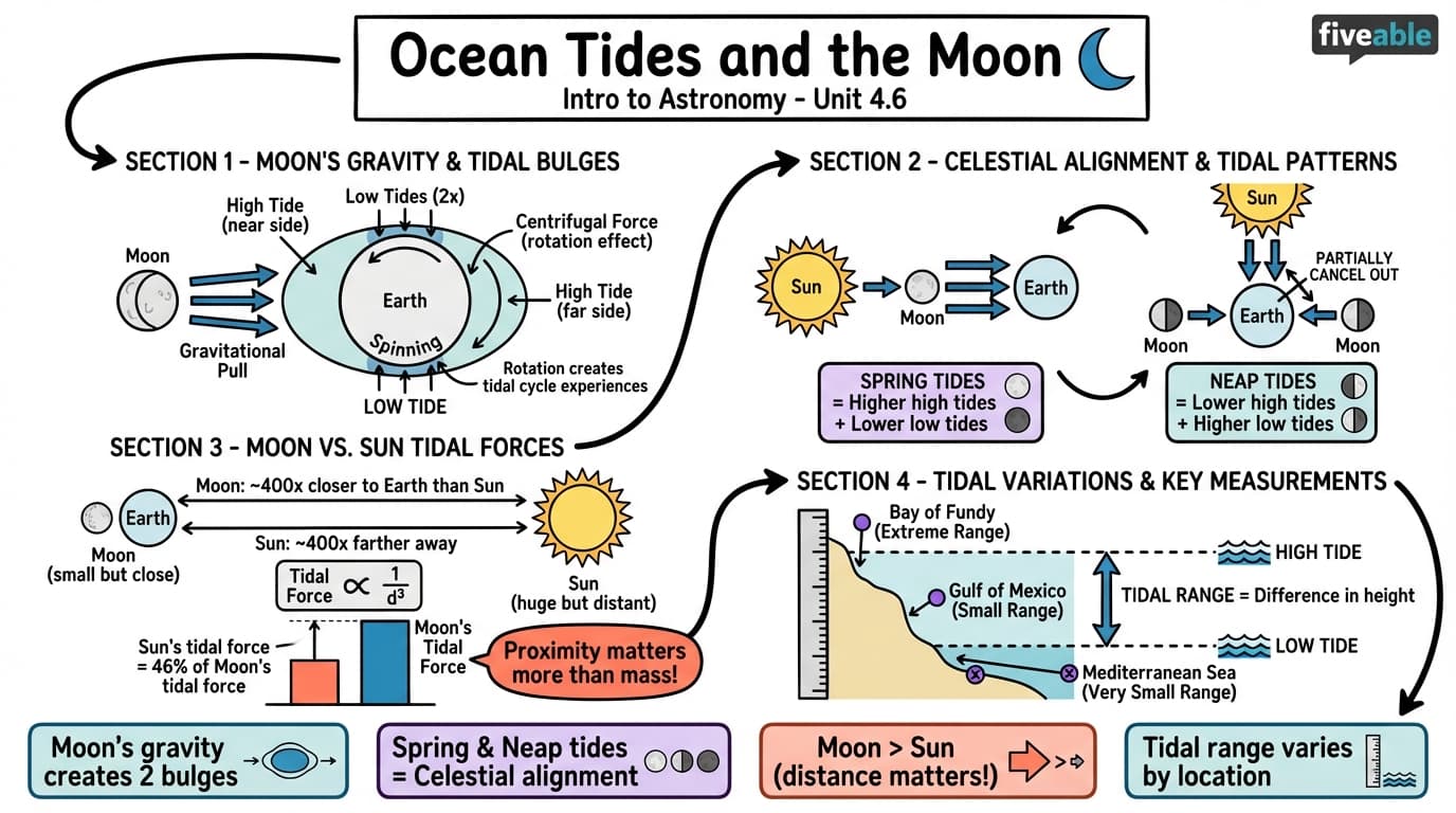 4.6 Ocean Tides and the Moon - Intro to Astronomy - Unit 4 visual cheatsheet