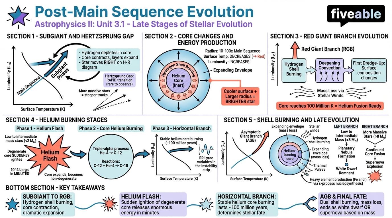 3.1 Post-Main Sequence Evolution - Astrophysics II - Unit 3 visual cheatsheet