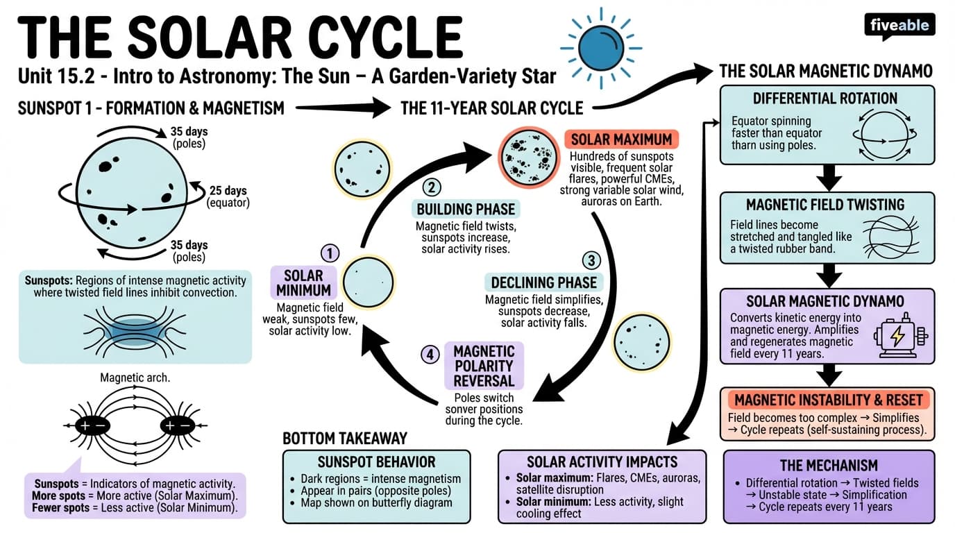 15.2 The Solar Cycle - Intro to Astronomy - Unit 15 visual cheatsheet
